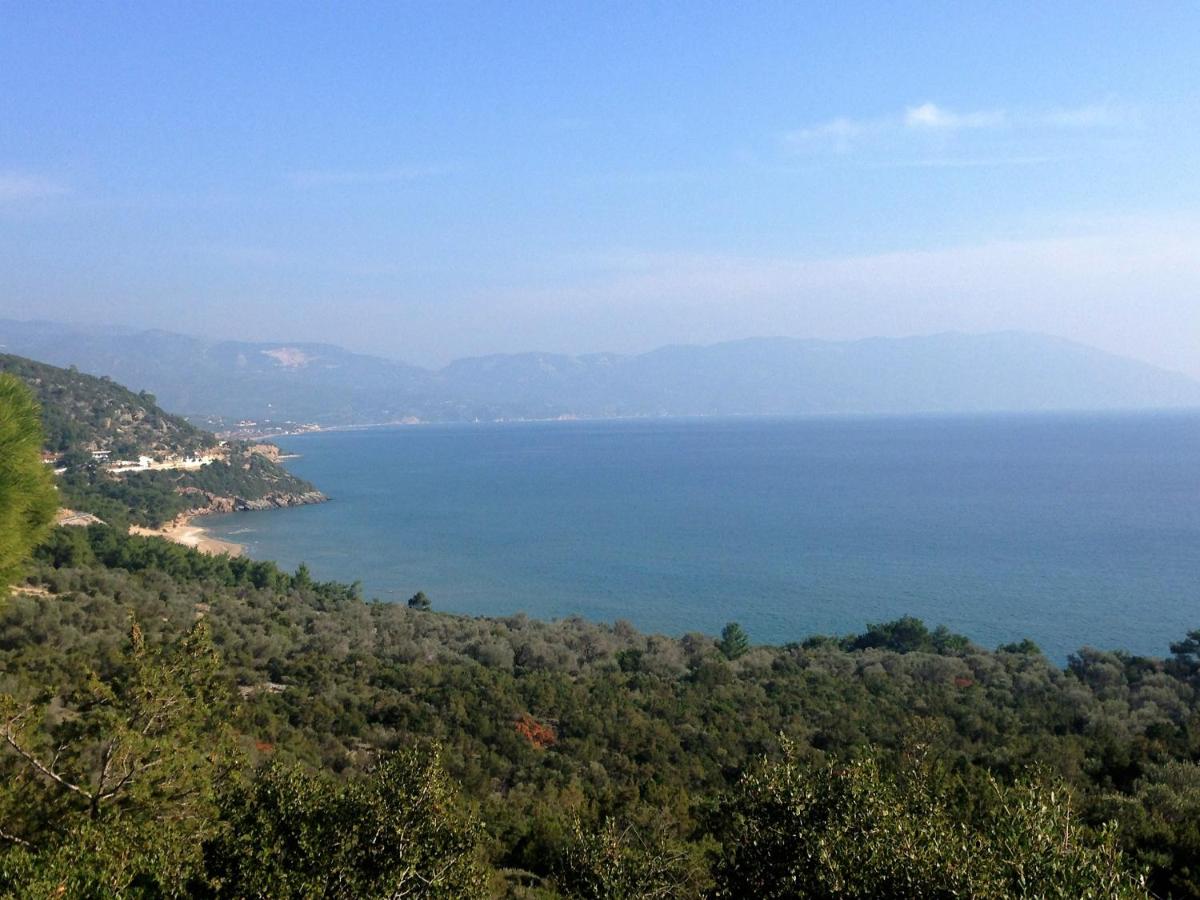 Limnionas Bay Village Hotel photo 5