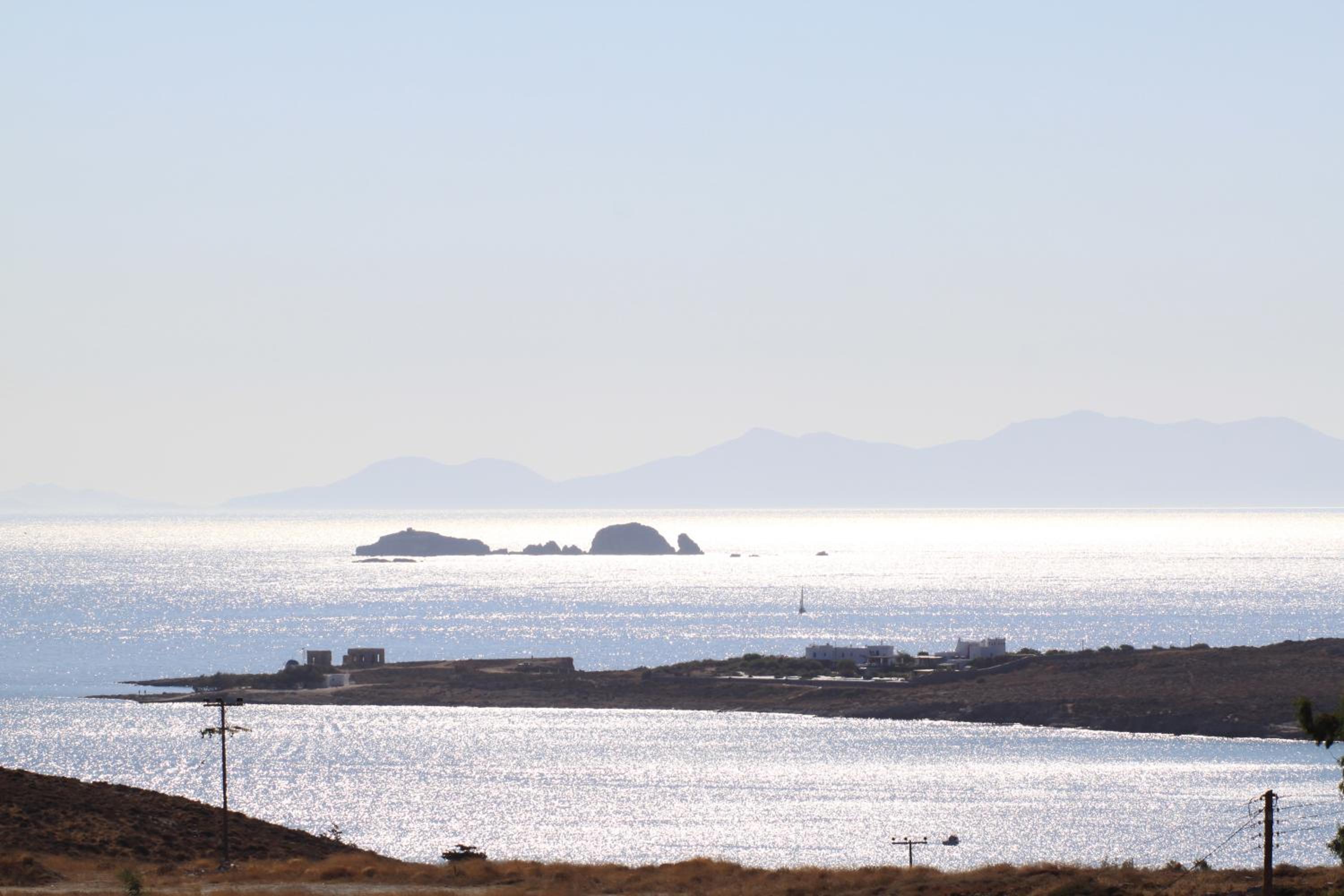 Blue Bay Heliolithos photo 4