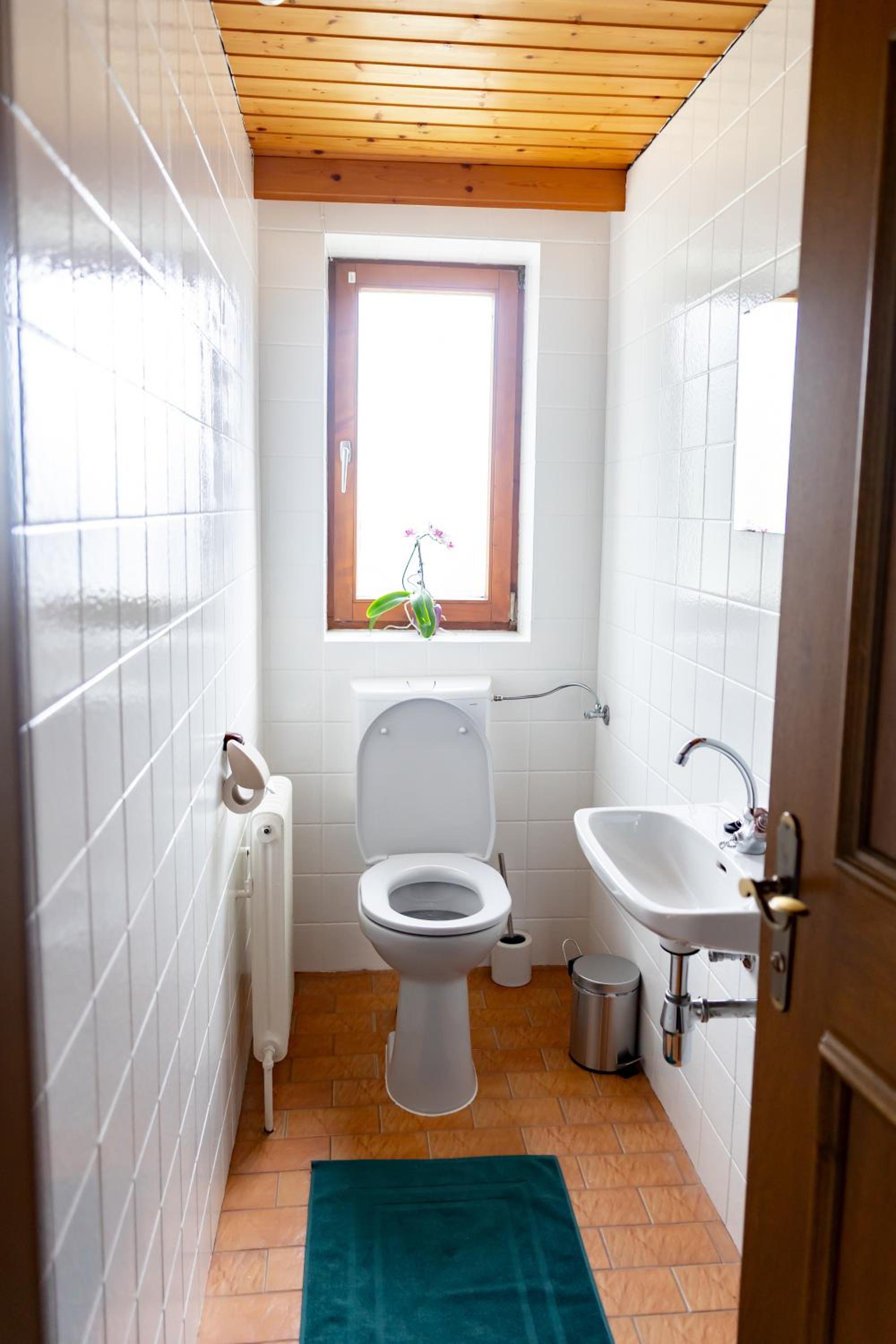 Alpenpause Apartment in Telfes