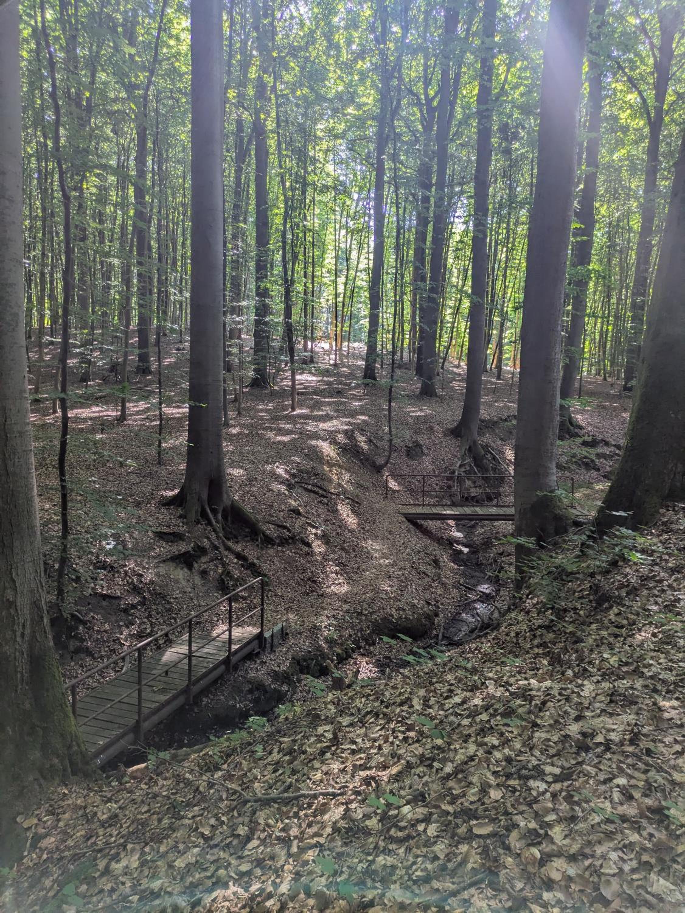 Wintertraum in Damm - 70 qm Wellness & Wohlfühl-Atmosphäre