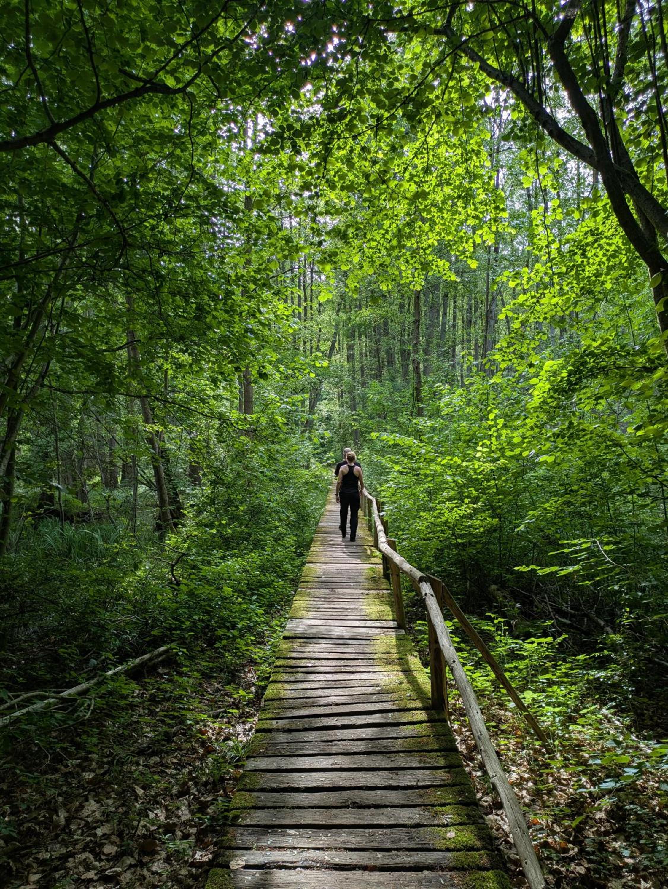 Wintertraum in Damm - 70 qm Wellness & Wohlfühl-Atmosphäre