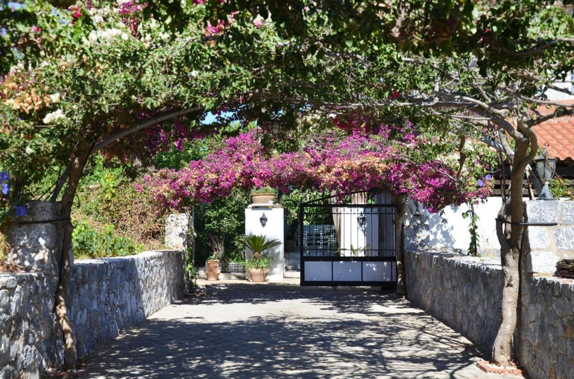 Villa Esperado Gardens Maleme