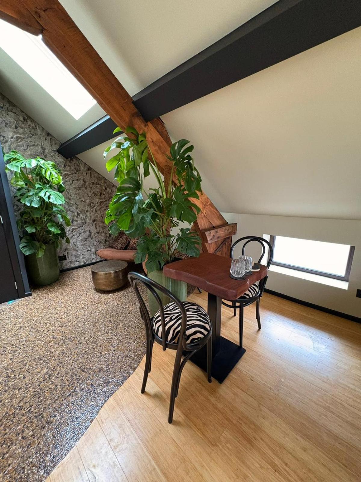 Casa Verde Brugge