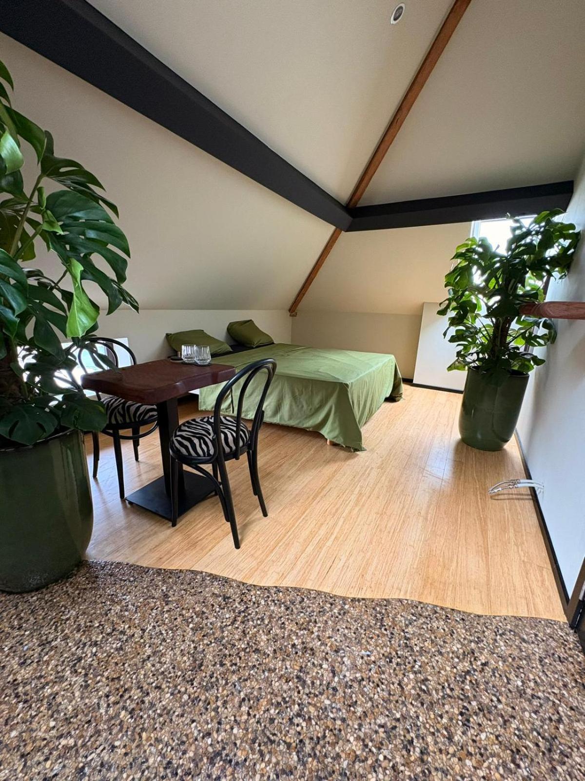 Casa Verde Brugge