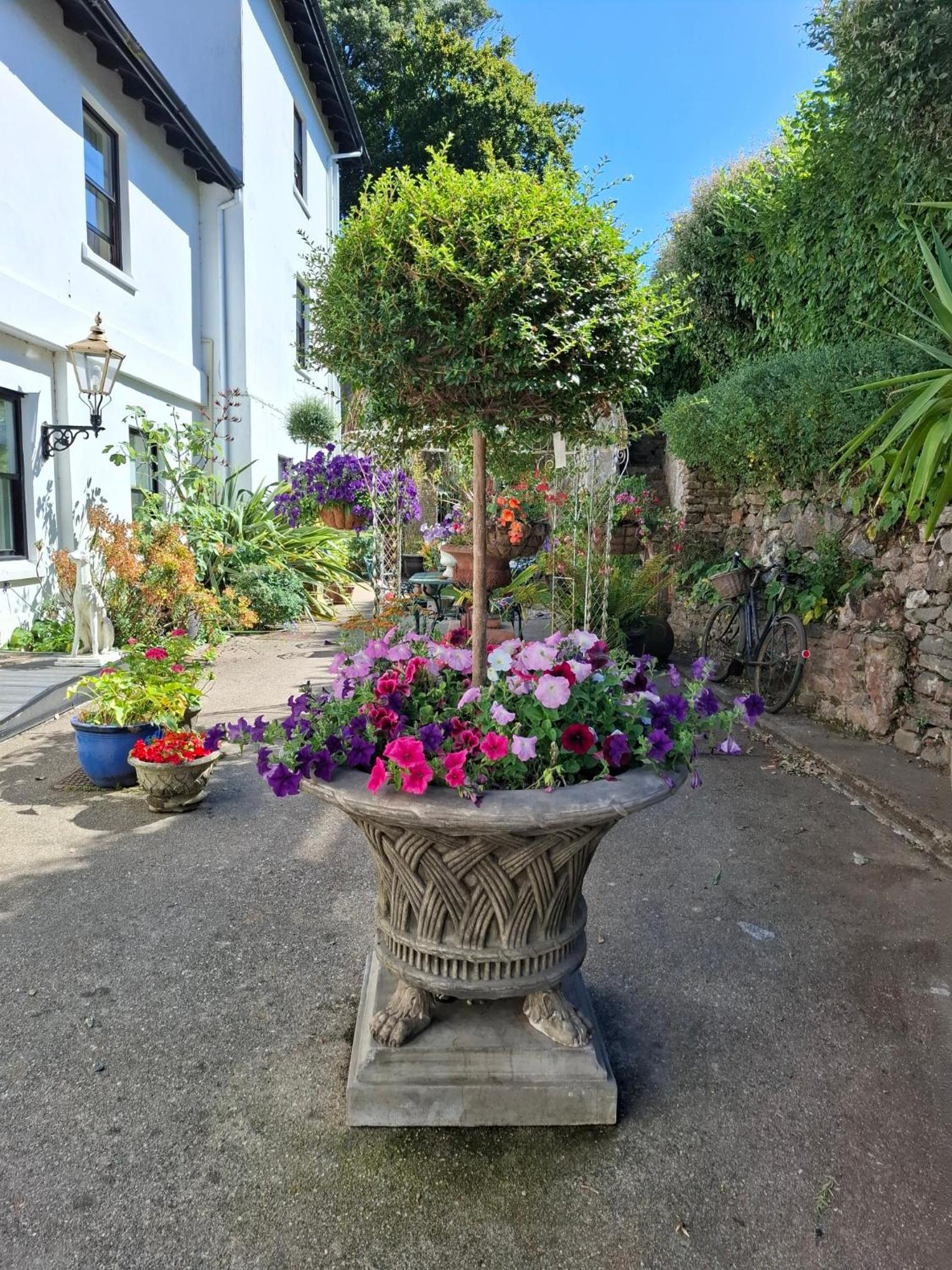 Photo 19