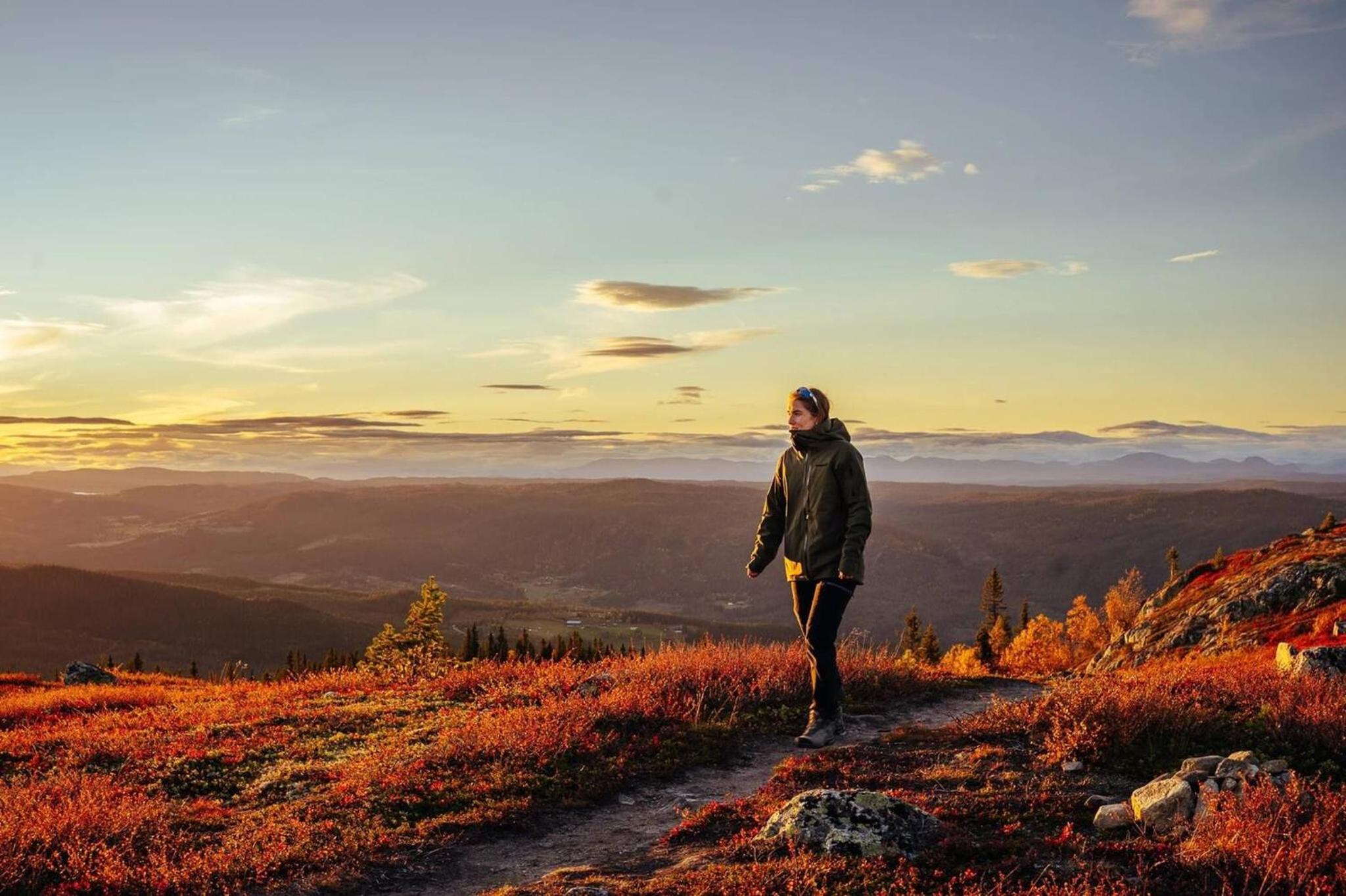 Skogsbu - Stylish, Close to Ski centers and hiking trails