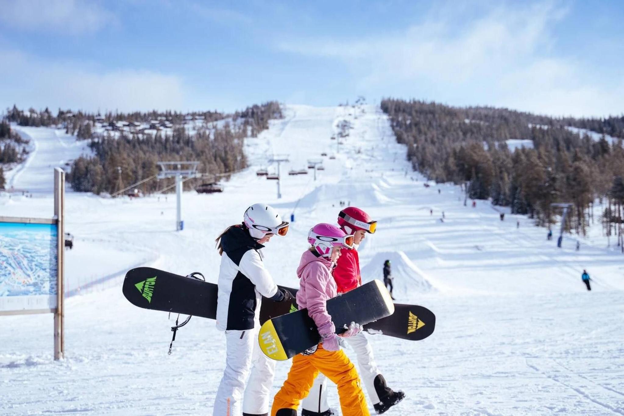 Skogsbu - Stylish, Close to Ski centers and hiking trails