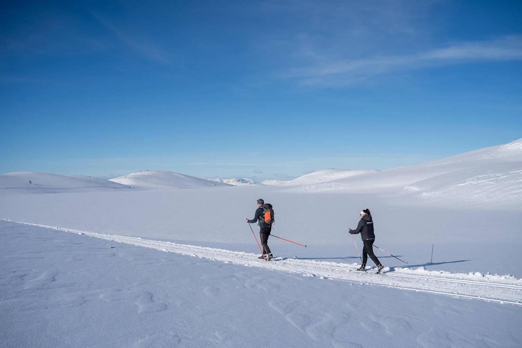 Skogsbu - Stylish, Close to Ski centers and hiking trails