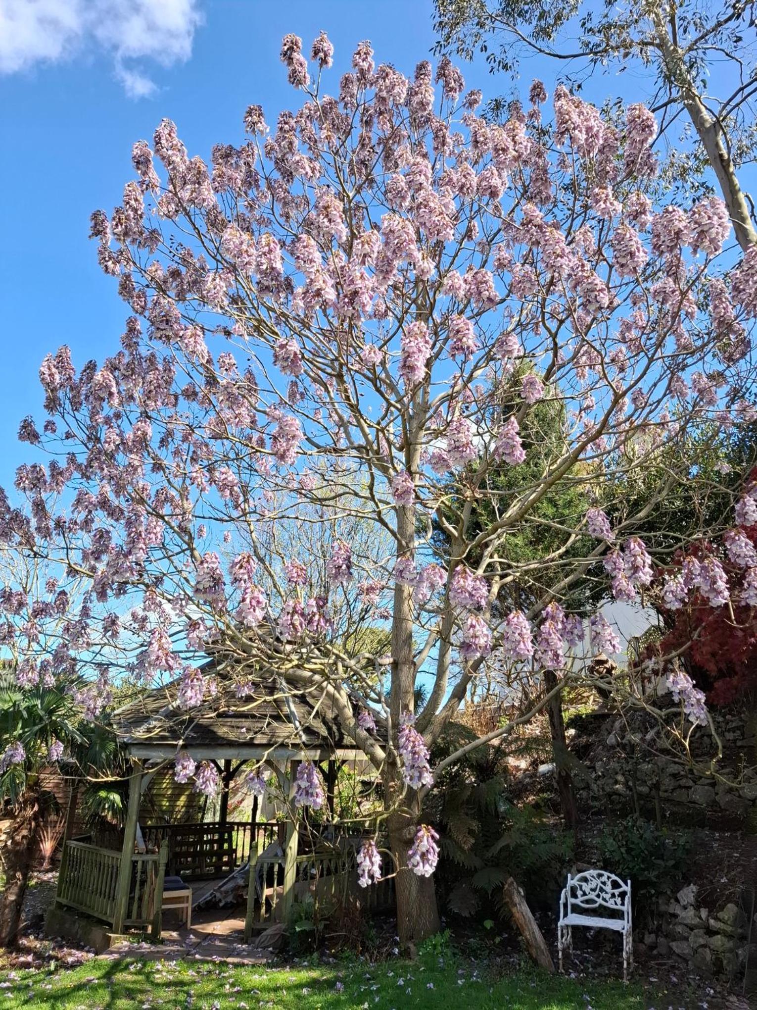 Photo 23