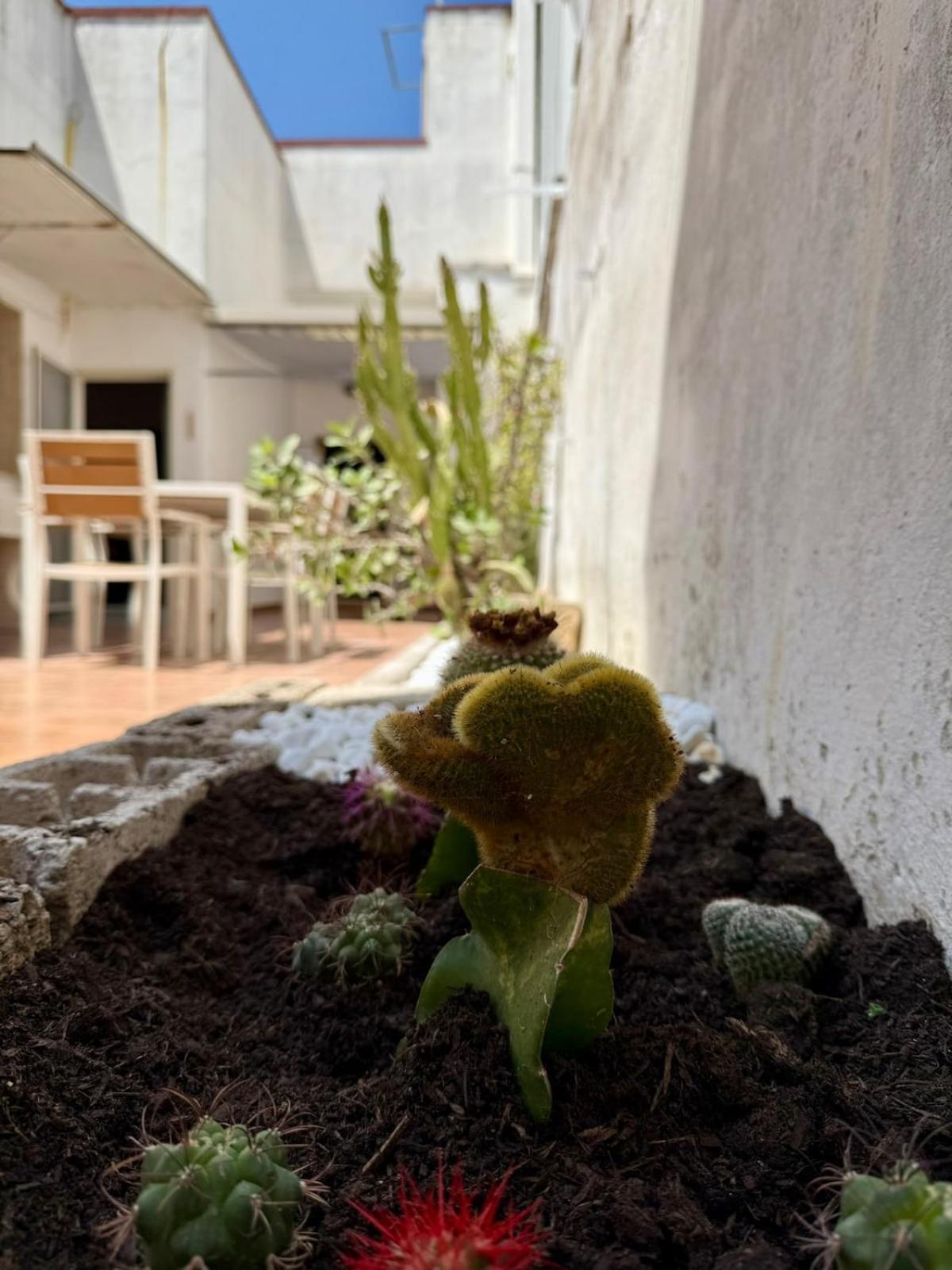 Amore Salentino-A Home Away from Home
