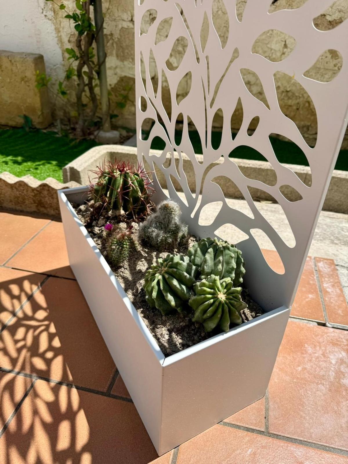 Amore Salentino-A Home Away from Home