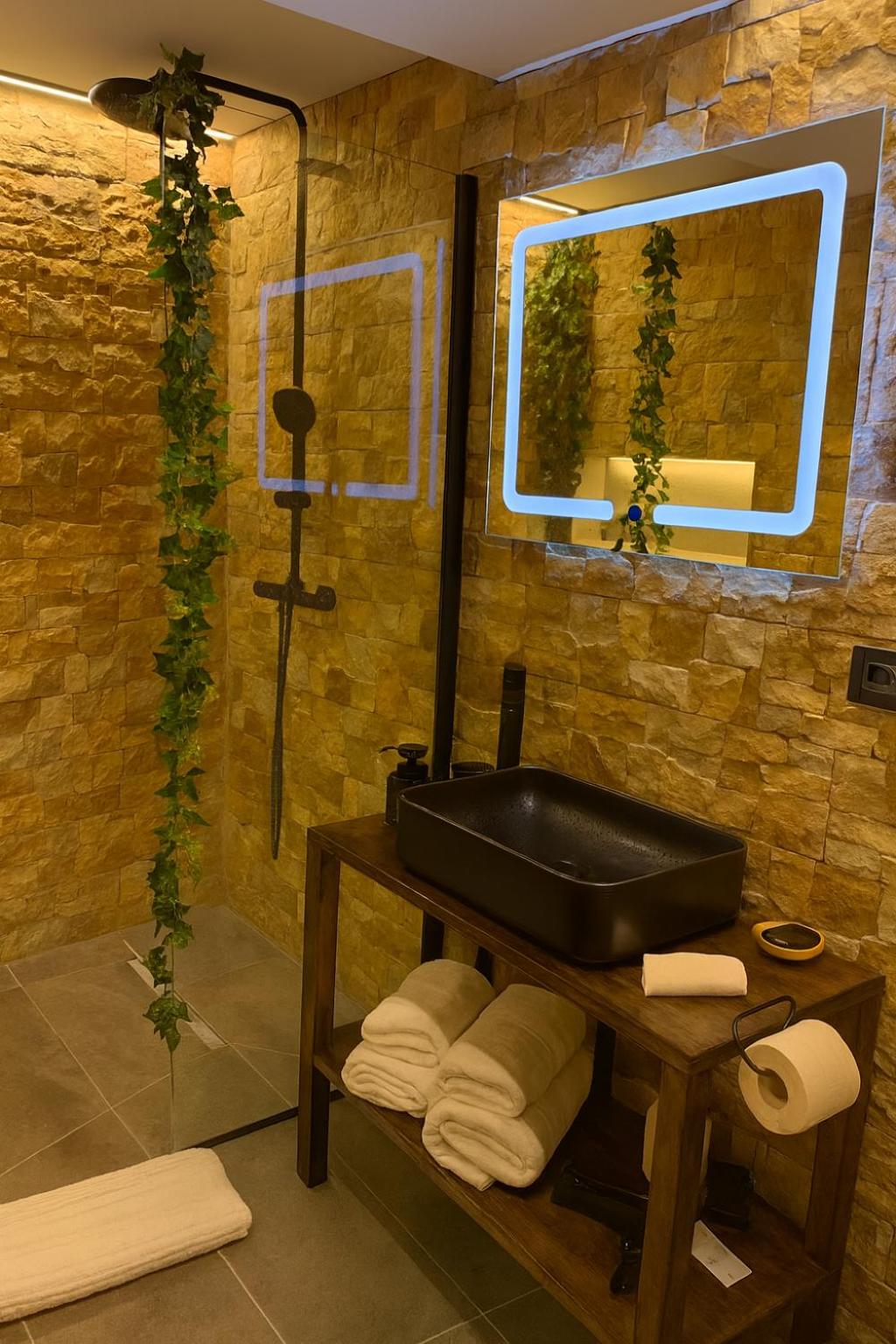 ALBERT RESIDENCE Brasov Historical City Center