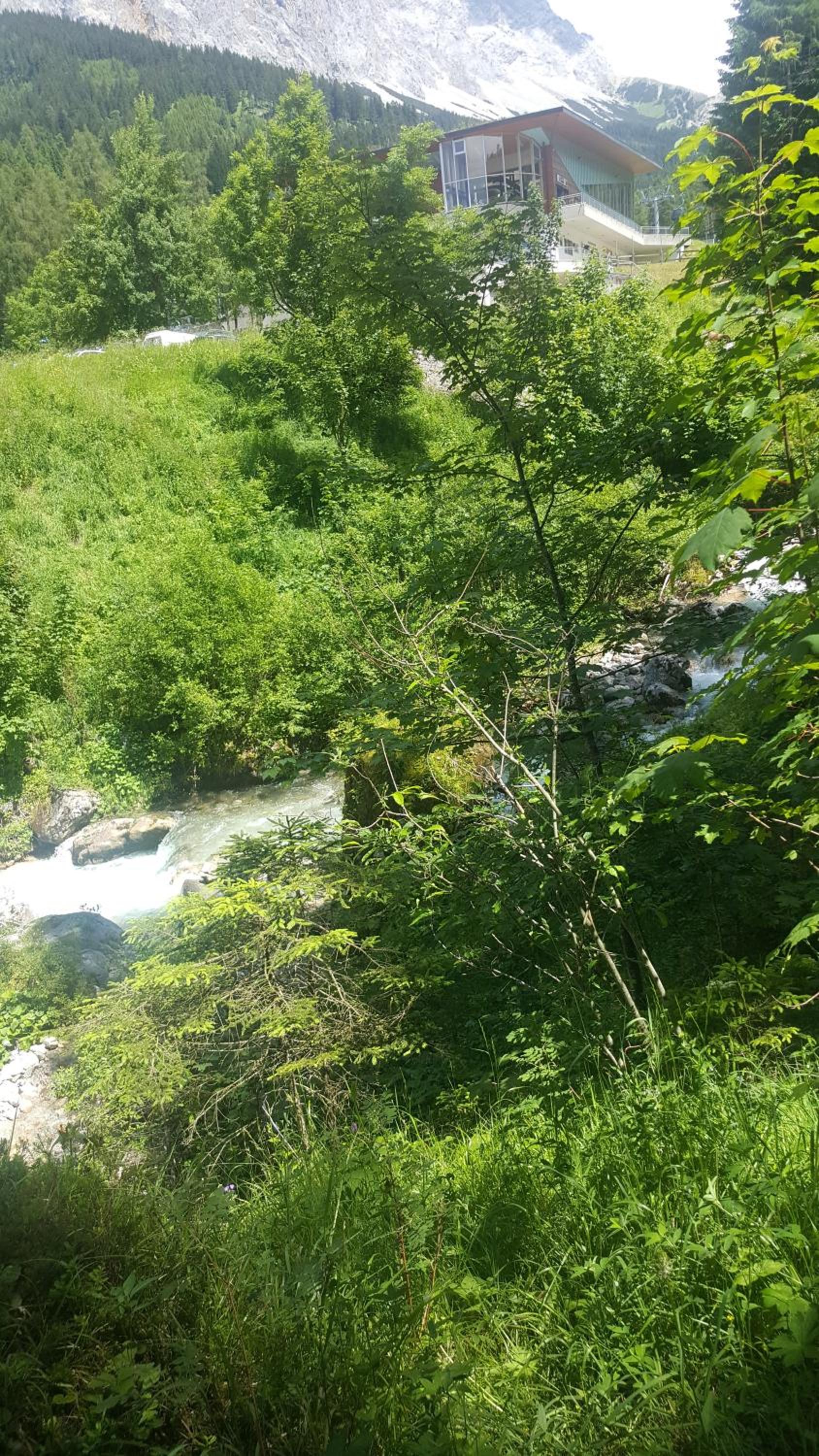 Photo 8