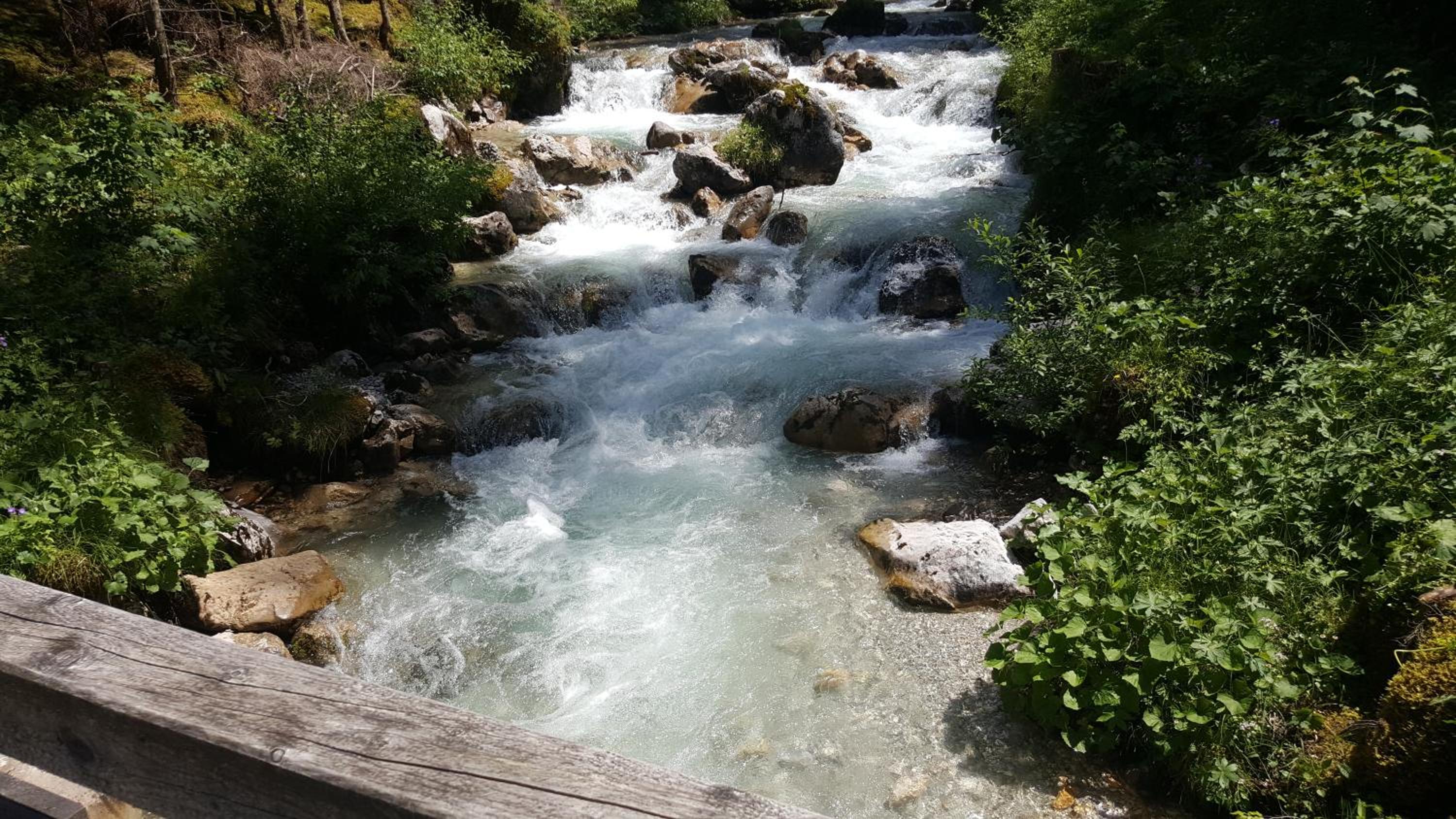 Photo 26