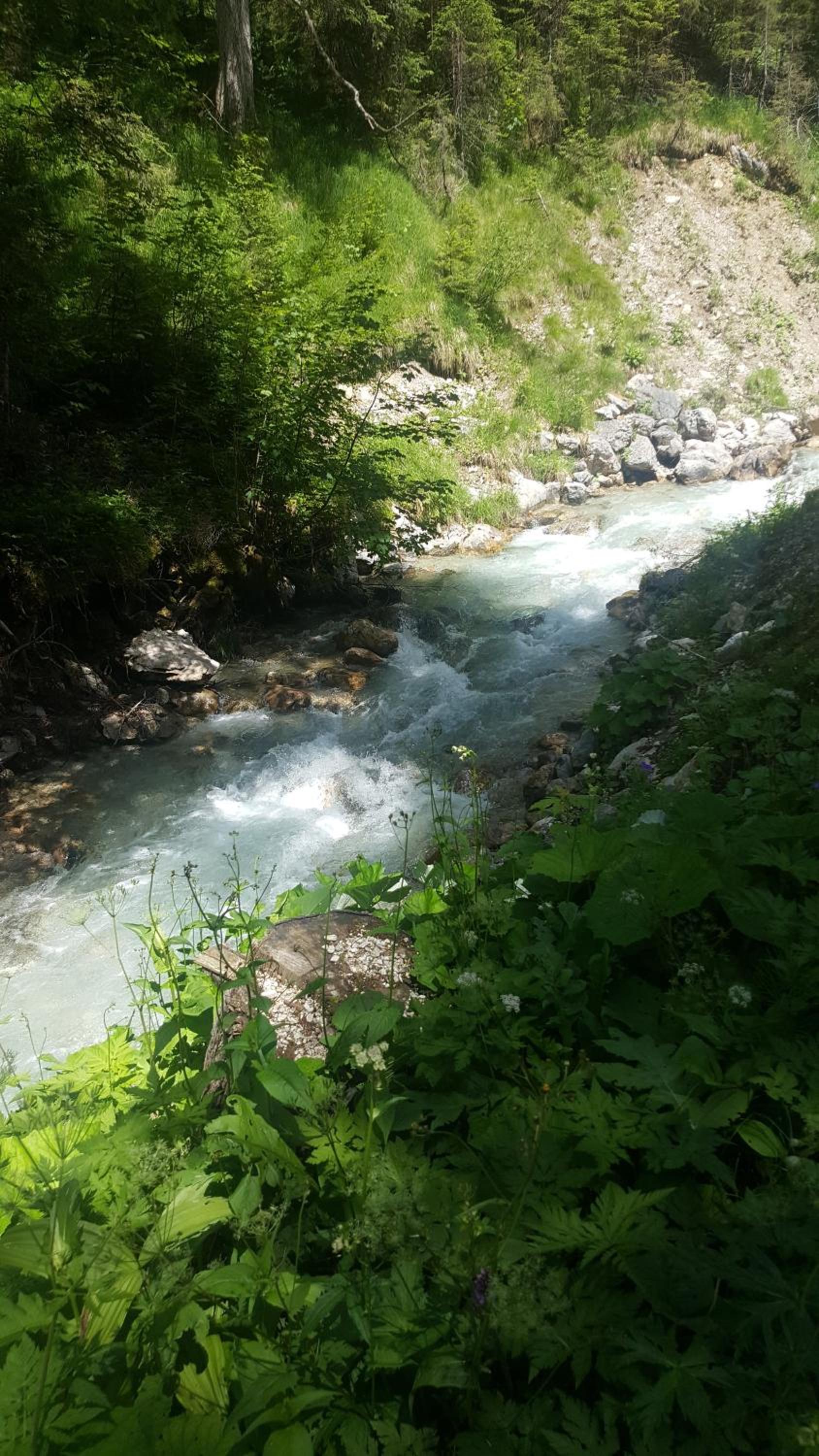 Photo 29