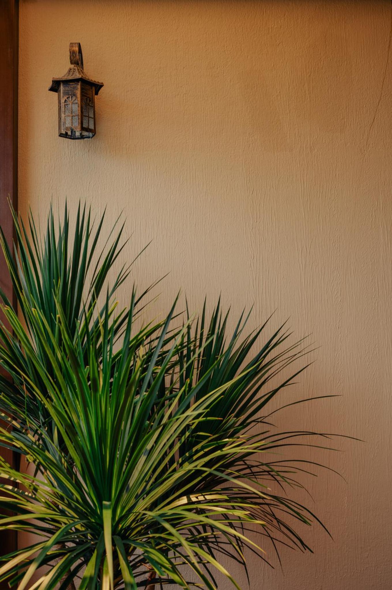 Hoian Tranquil Beach Villa