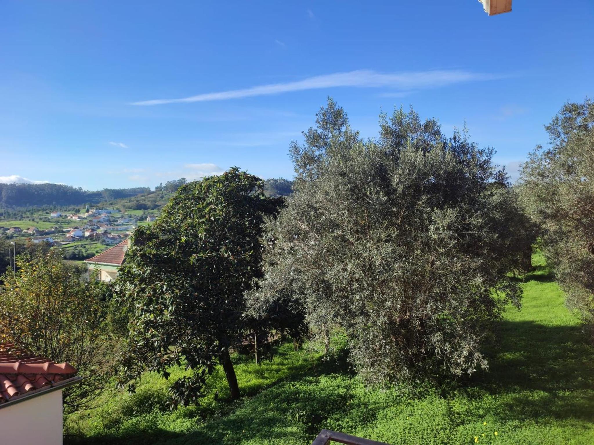 Casa dos Fetos Varanda Panorâmica & Natureza