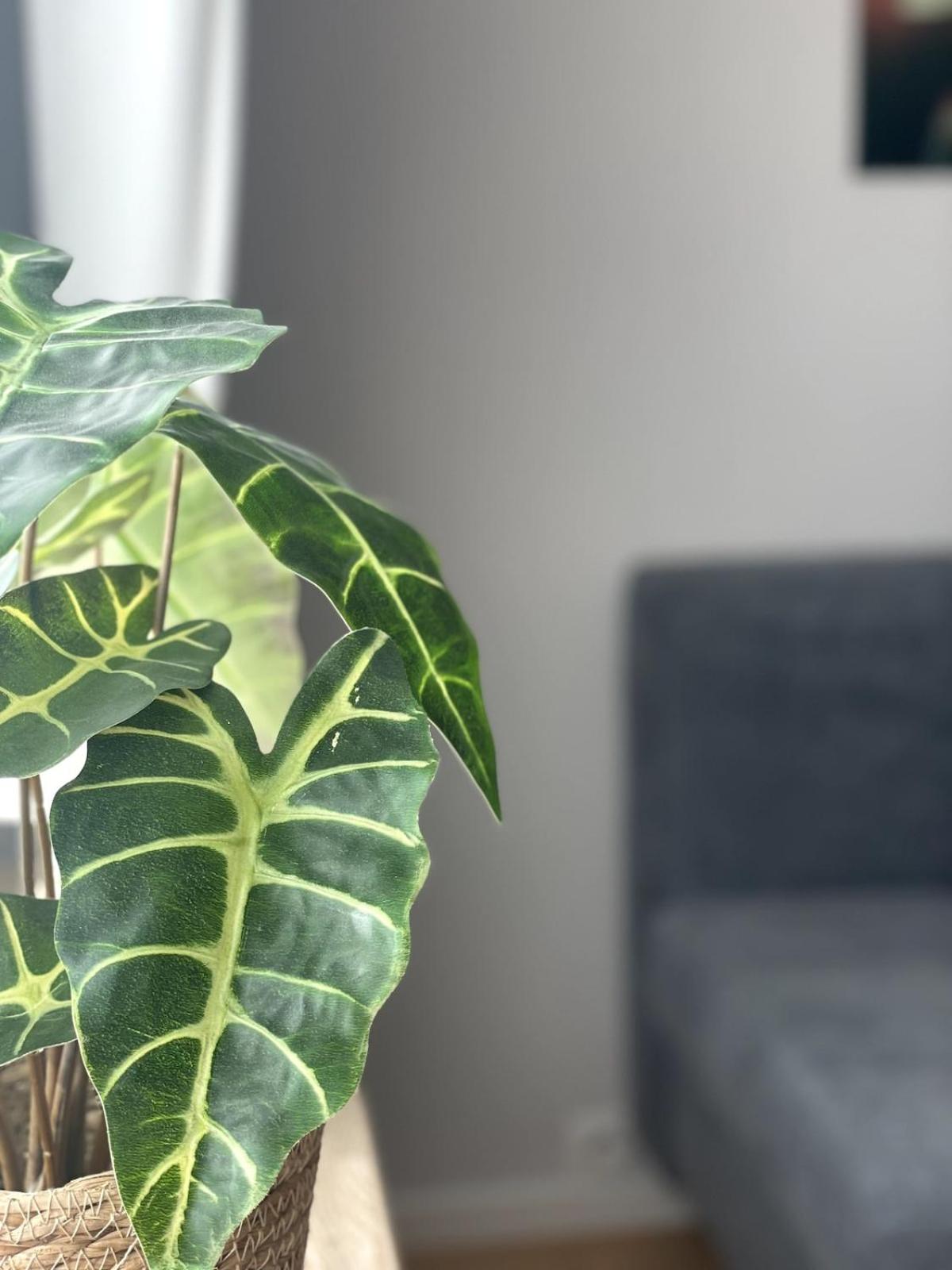 Eifeltraum Mendig, 3 Sterne, Ferienwohnung