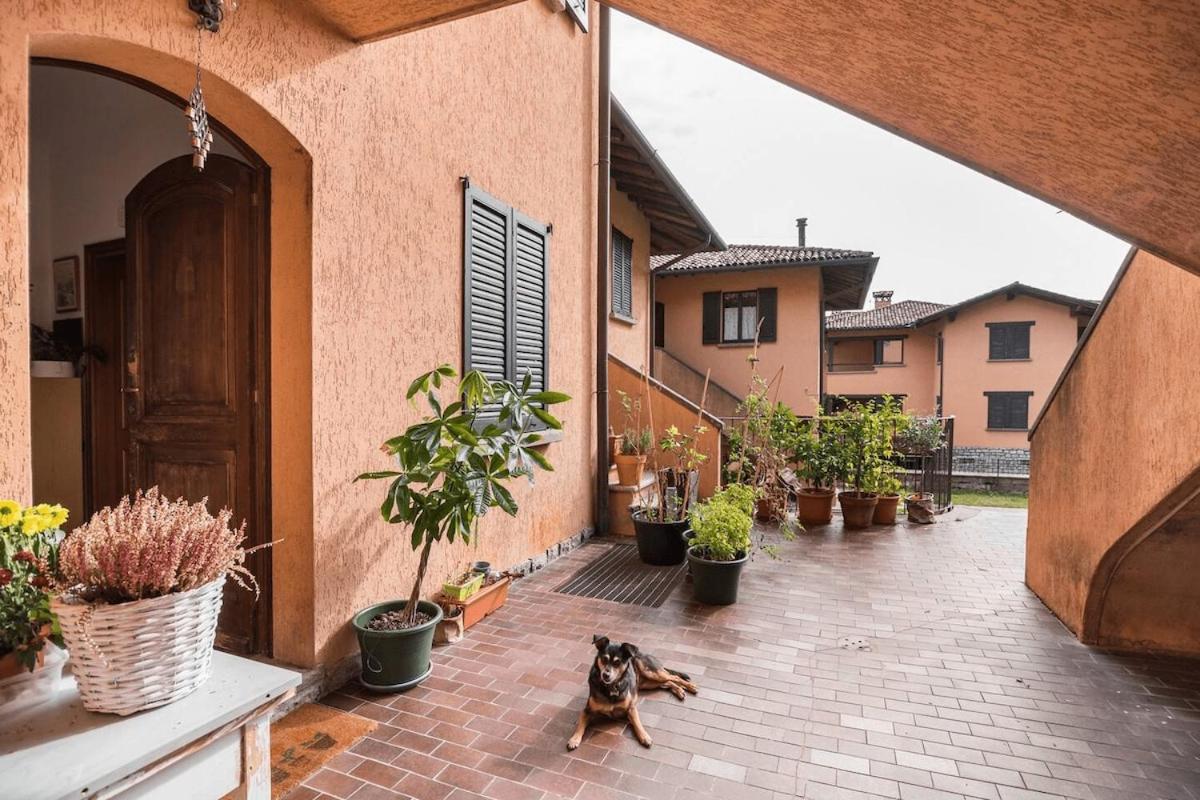 Cat lovers home