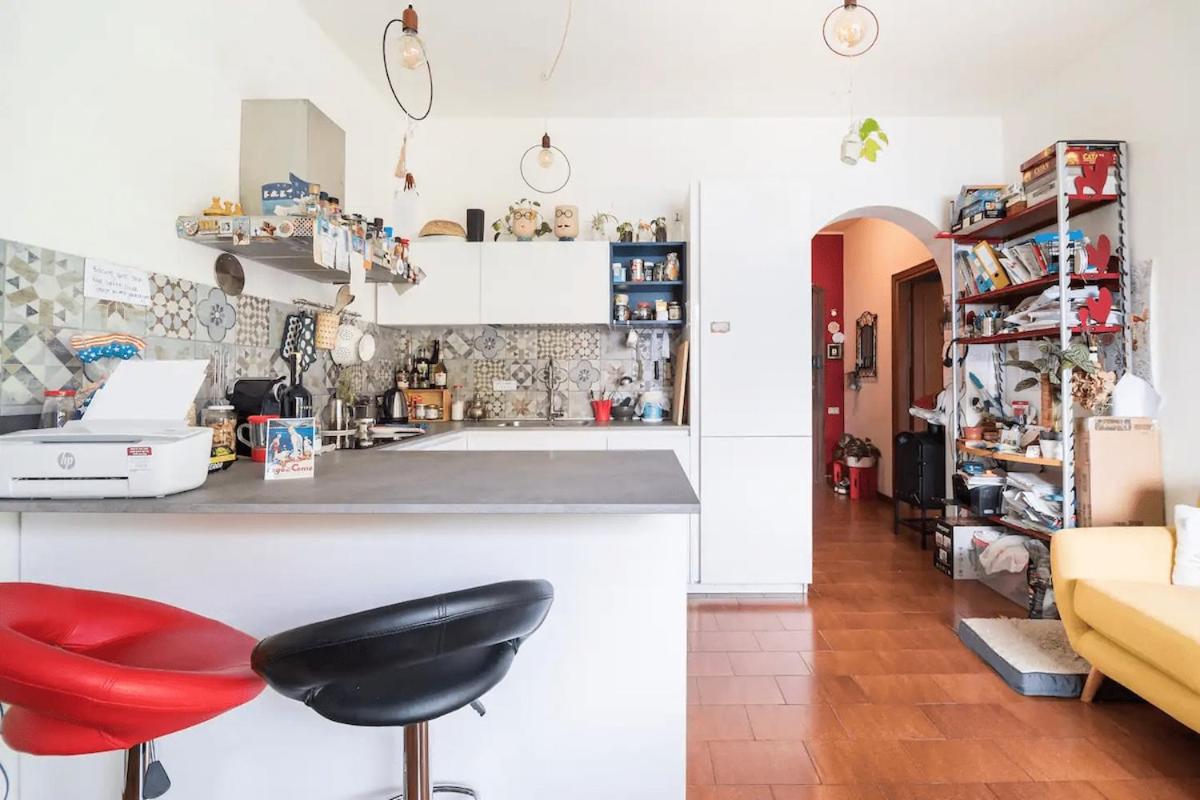 Cat lovers home