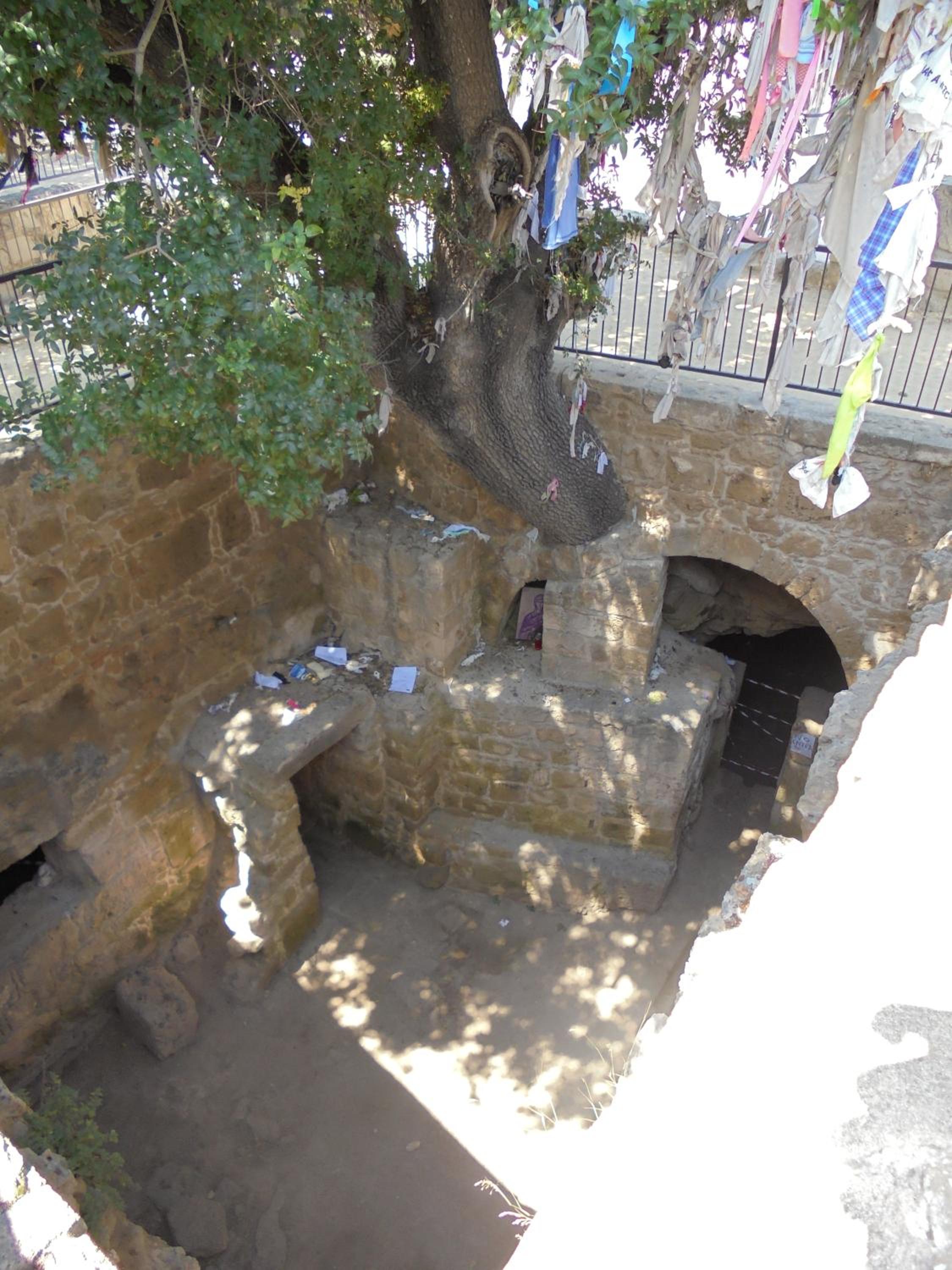 Photo 35