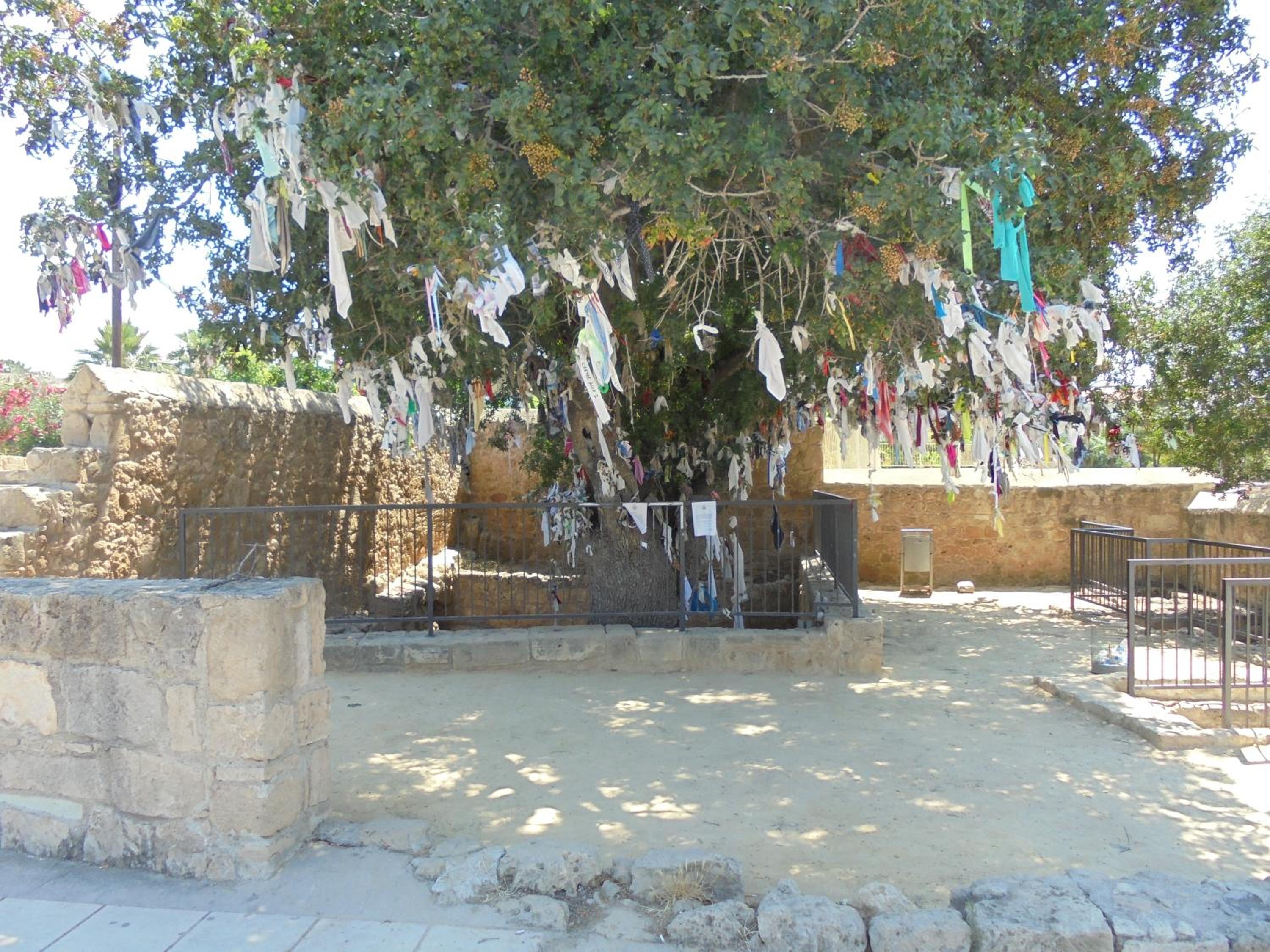 Photo 37