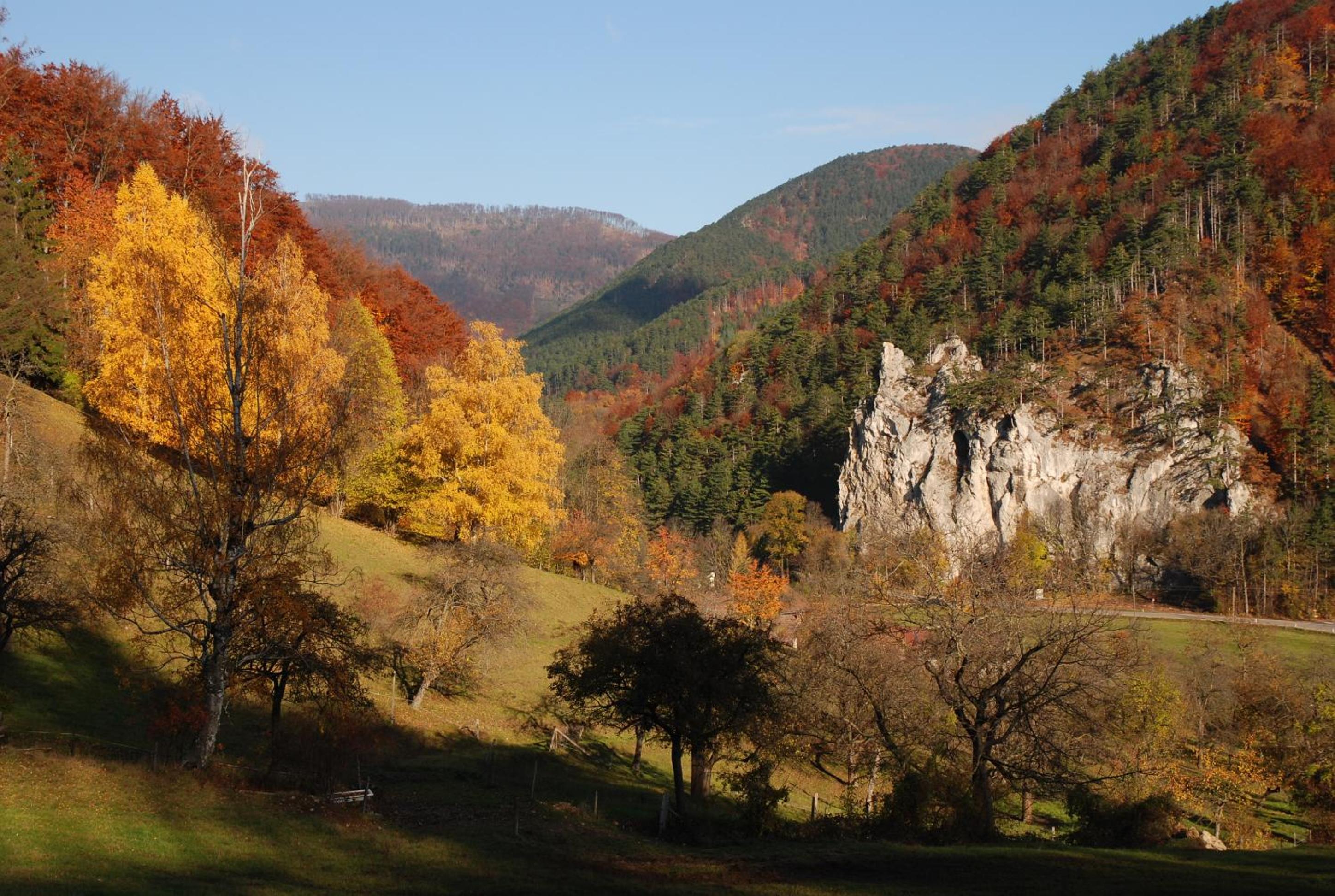 Landgasthof zur Bruthenne