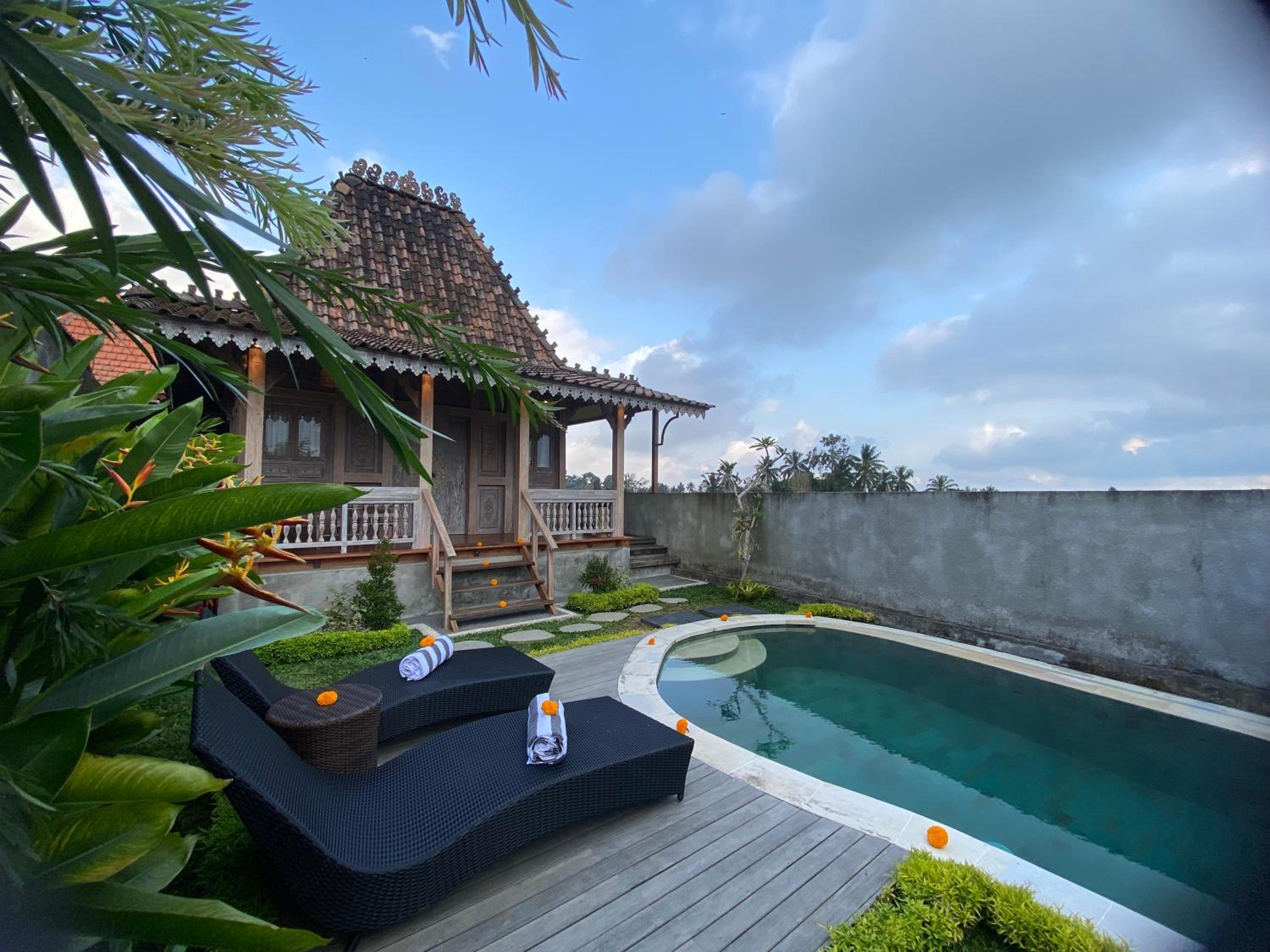 Gunung Gelagah Ubud Villas Ricefield View by EPS