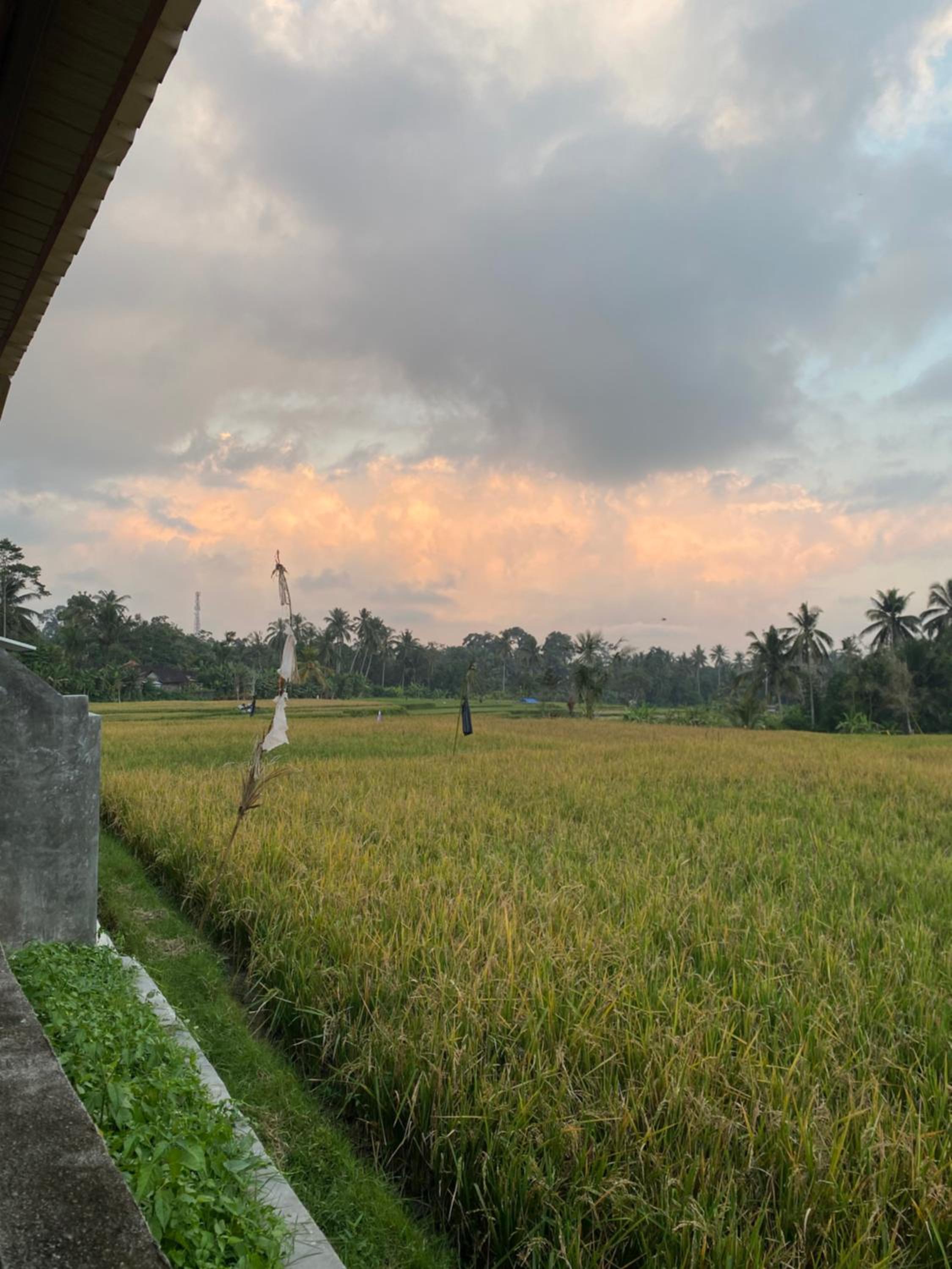 Gunung Gelagah Ubud Villas Ricefield View by EPS
