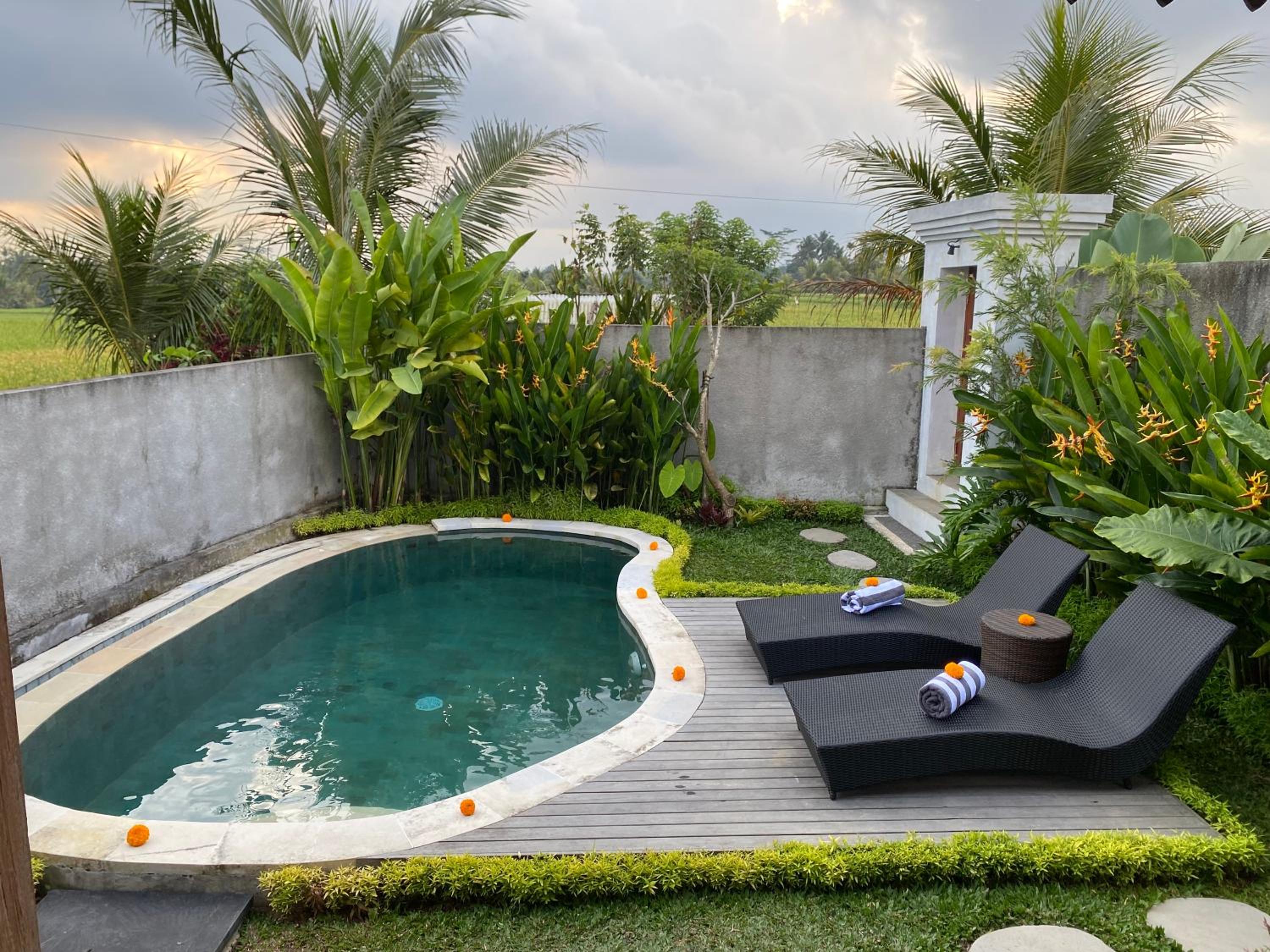 Gunung Gelagah Ubud Villas Ricefield View by EPS