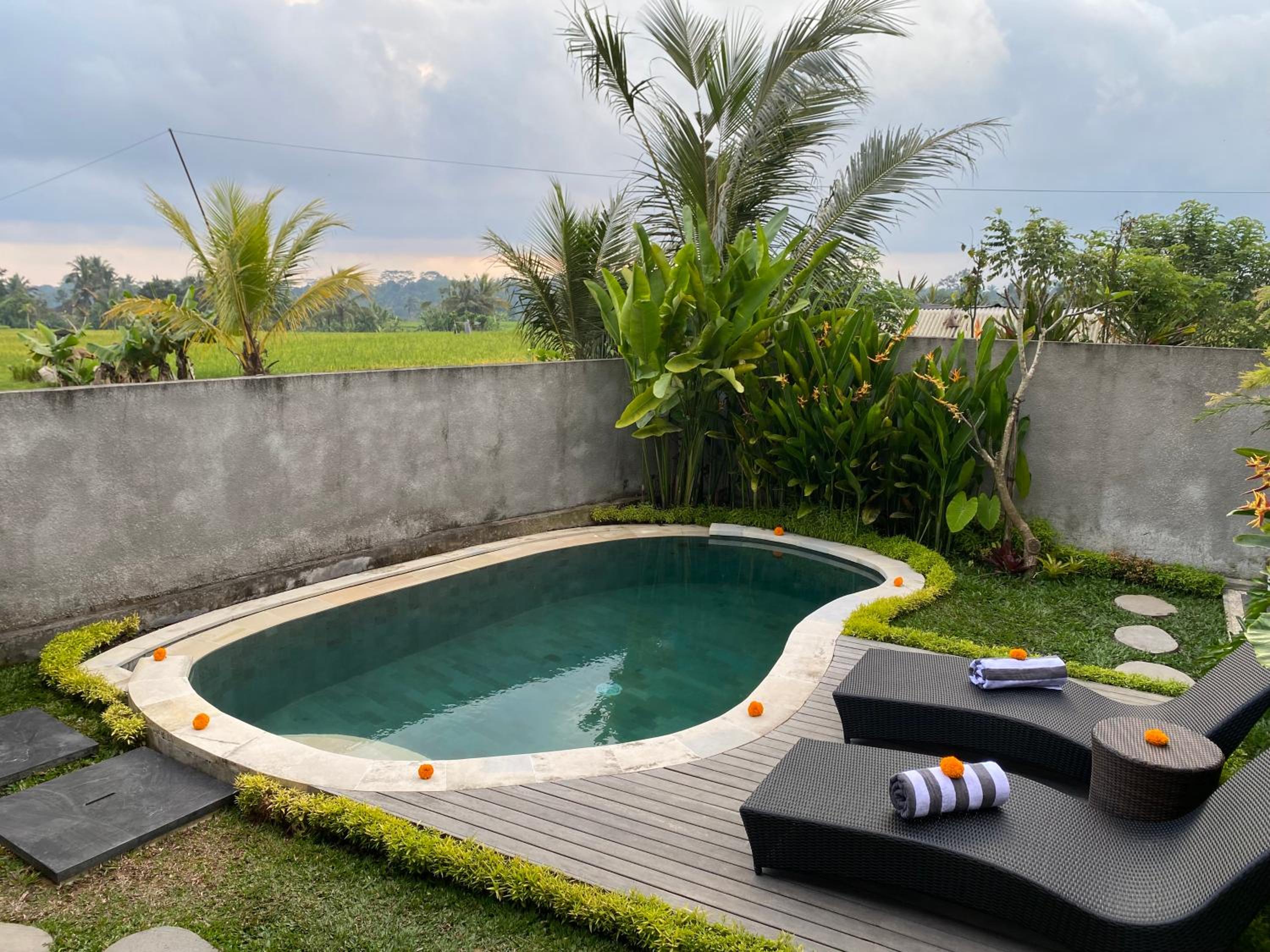 Gunung Gelagah Ubud Villas Ricefield View by EPS