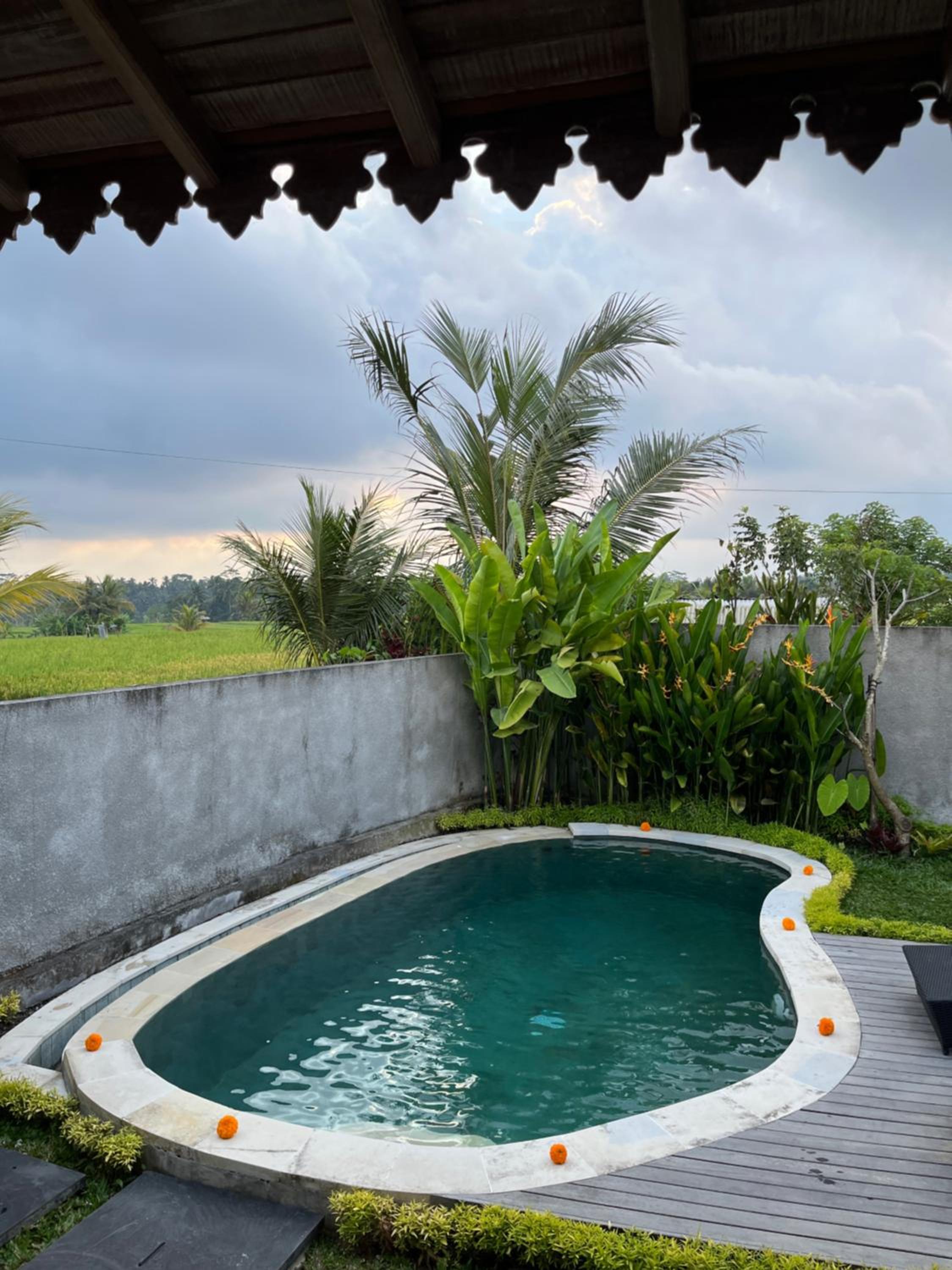 Gunung Gelagah Ubud Villas Ricefield View by EPS