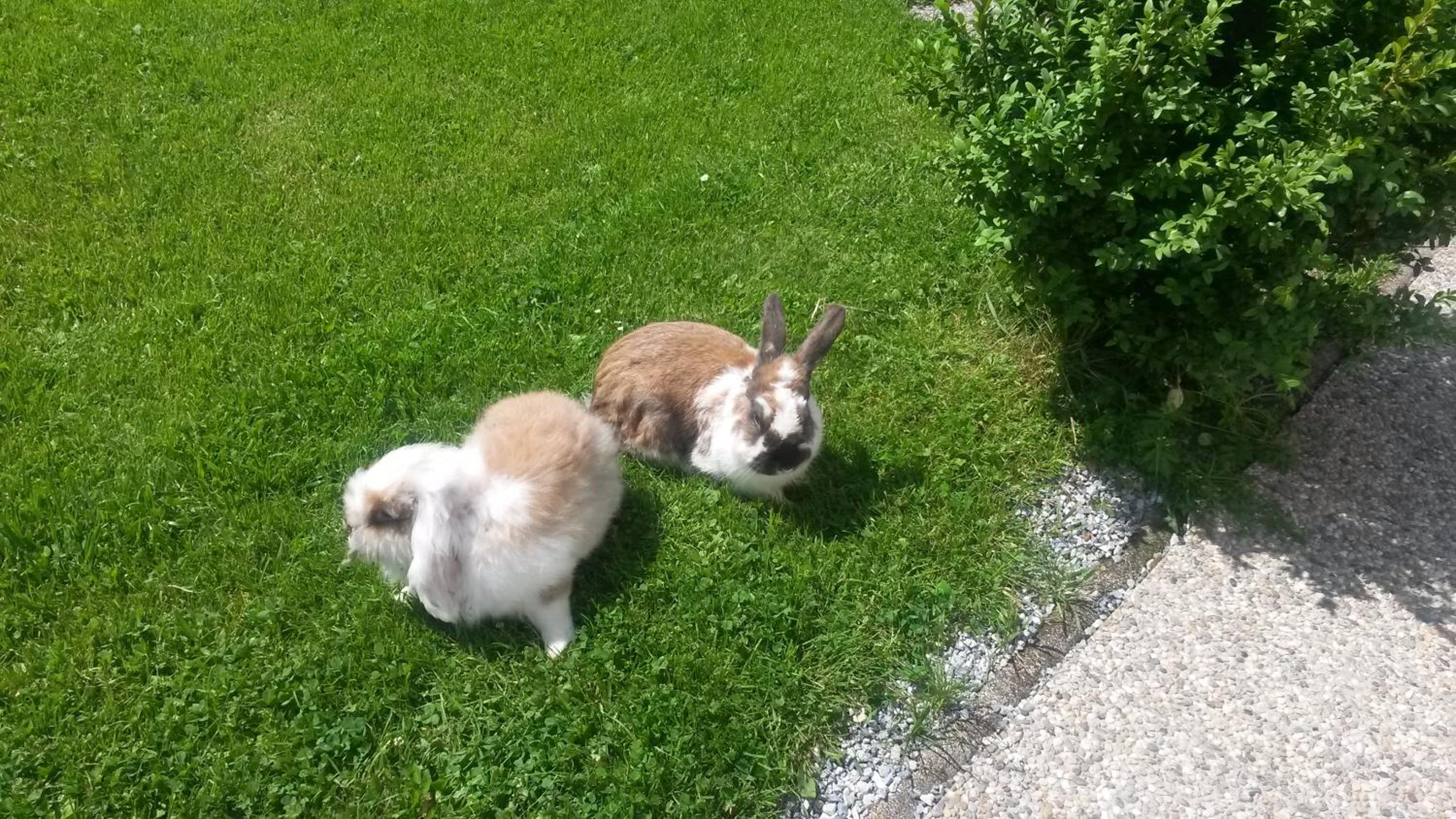 Photo 23