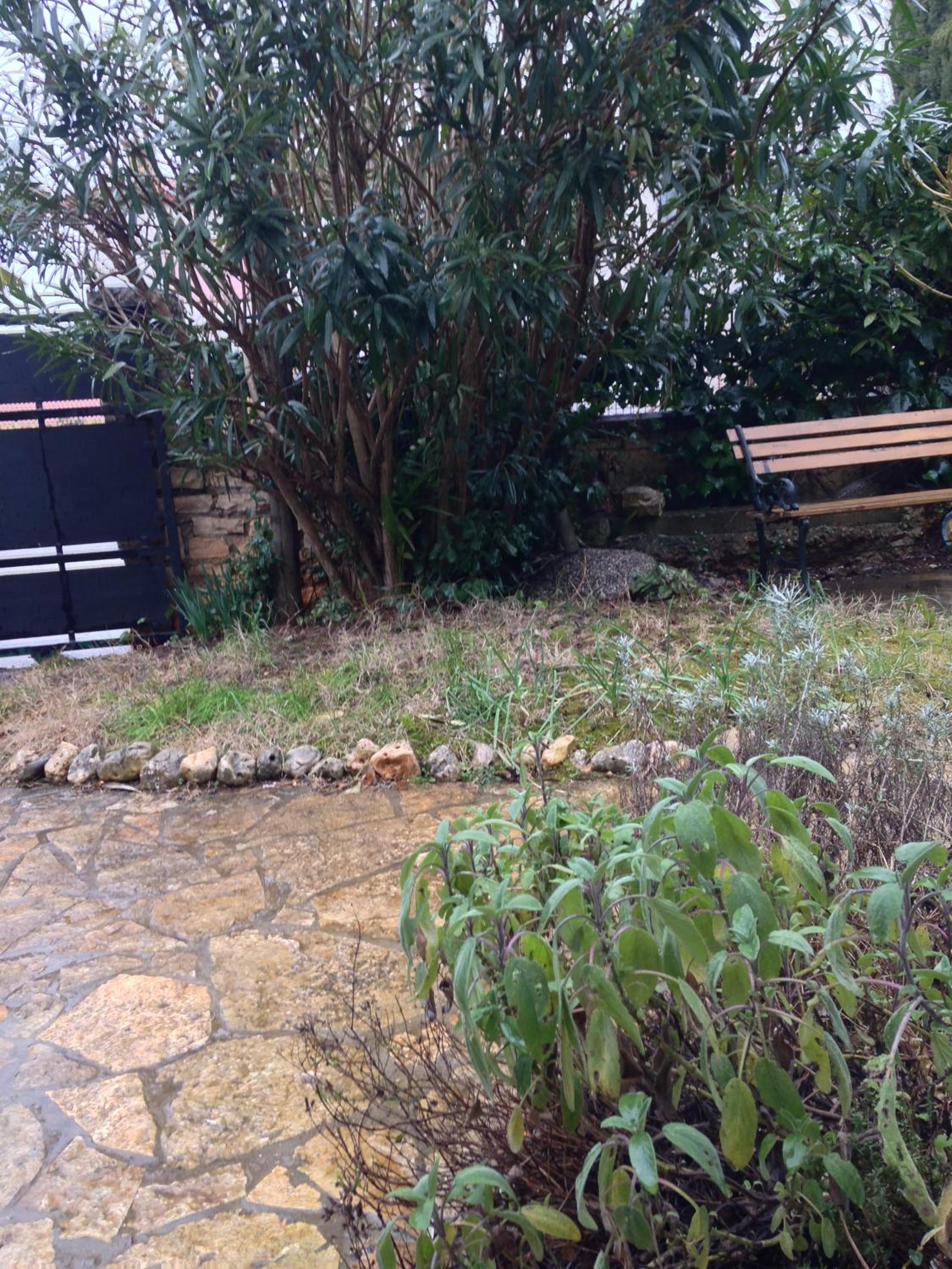 Photo 36