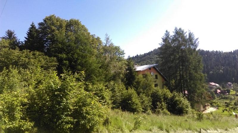 Photo 20