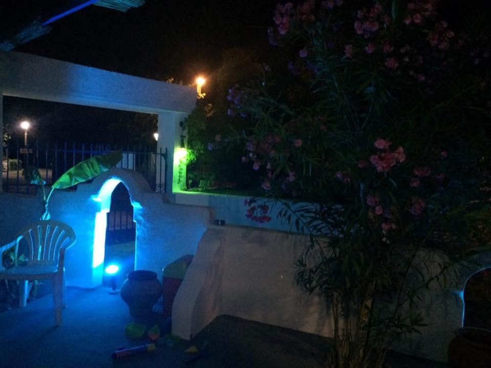 Photo 14