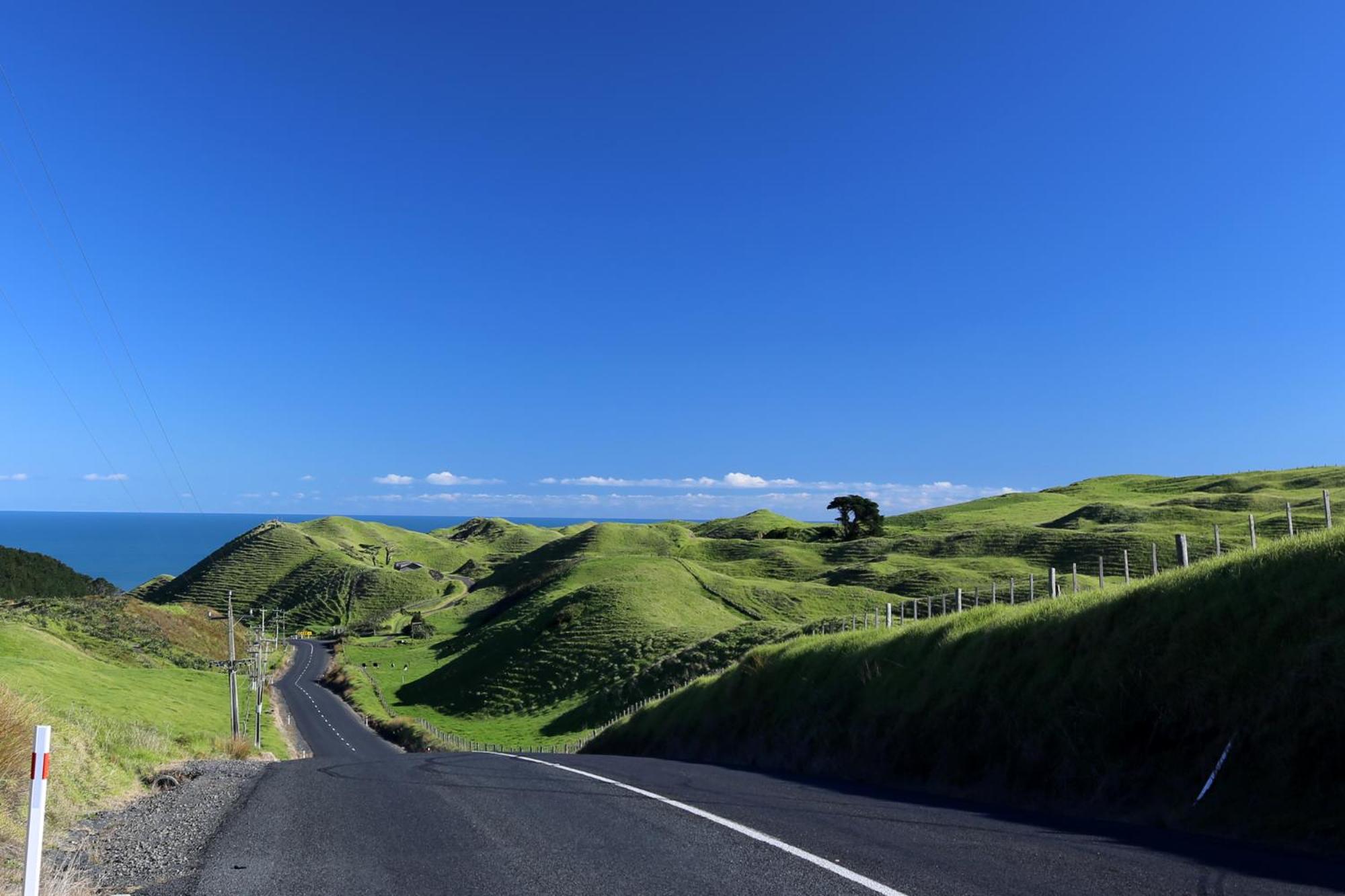 Waiuku Lodge Motel