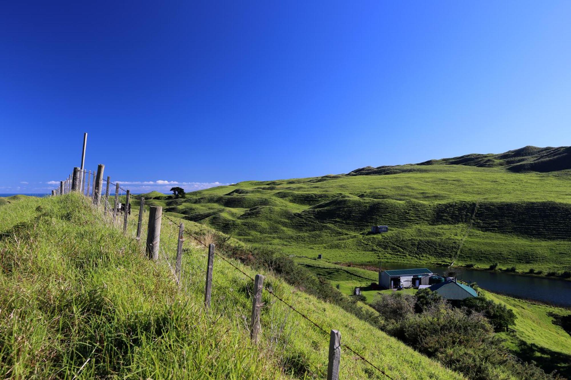 Waiuku Lodge Motel