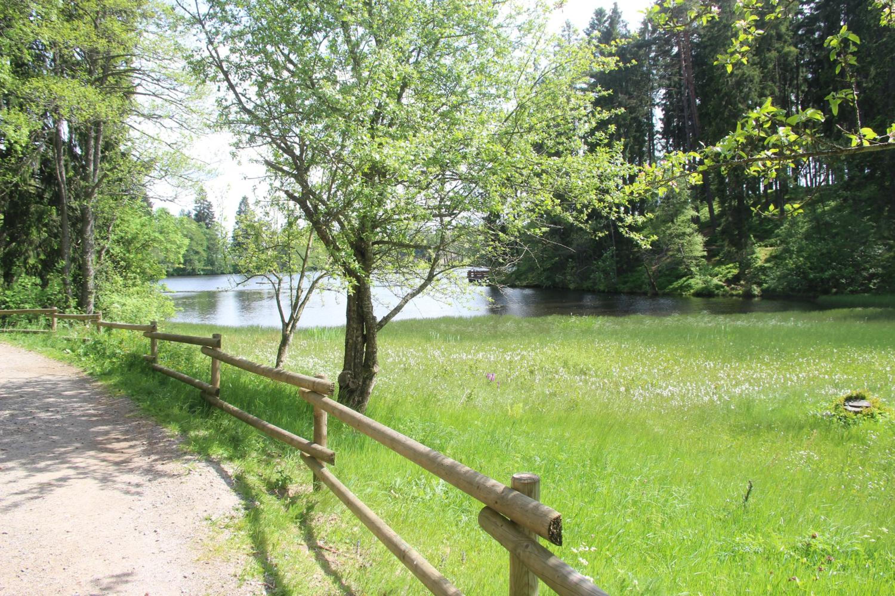 Photo 40