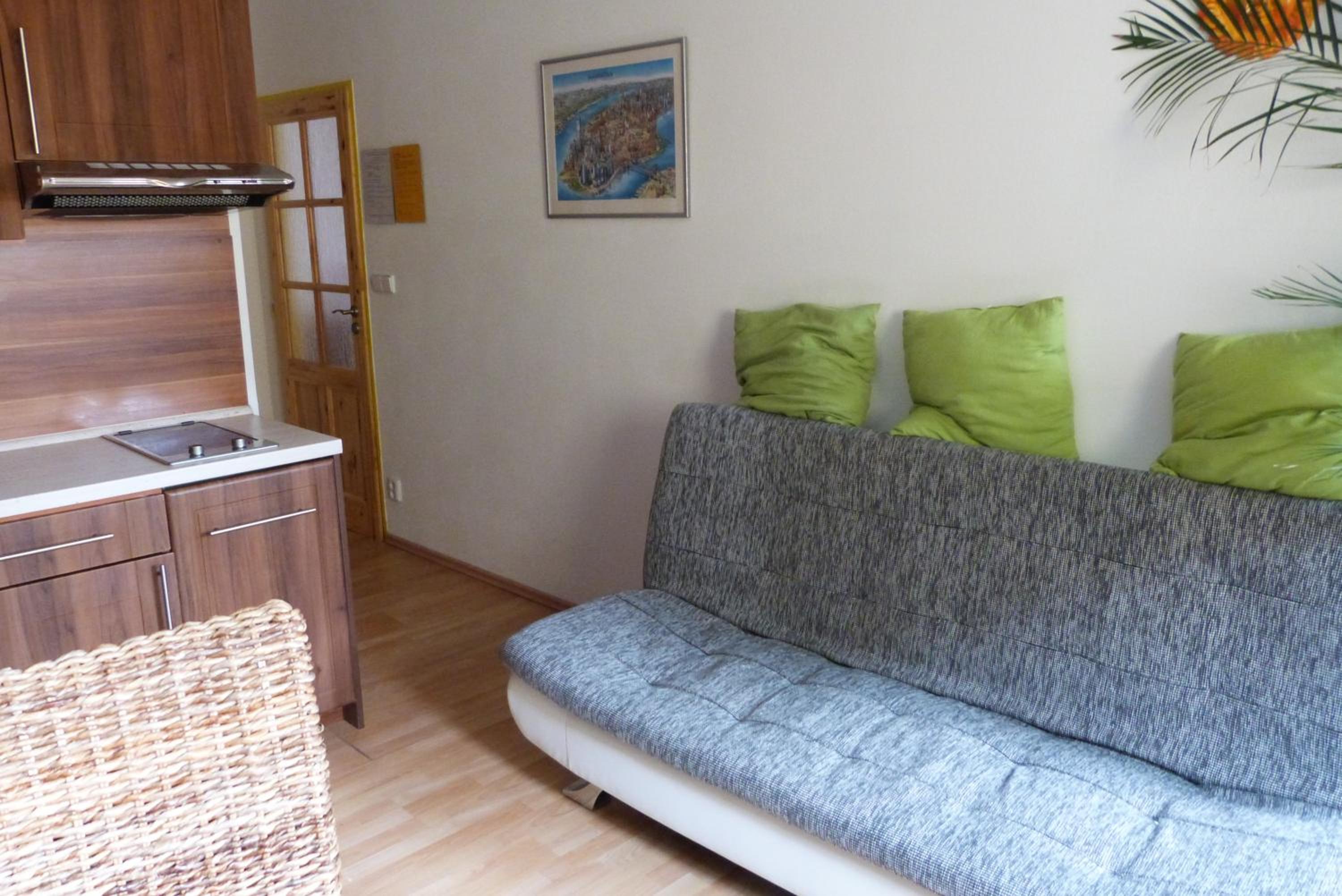 Apartmán Susice view 5