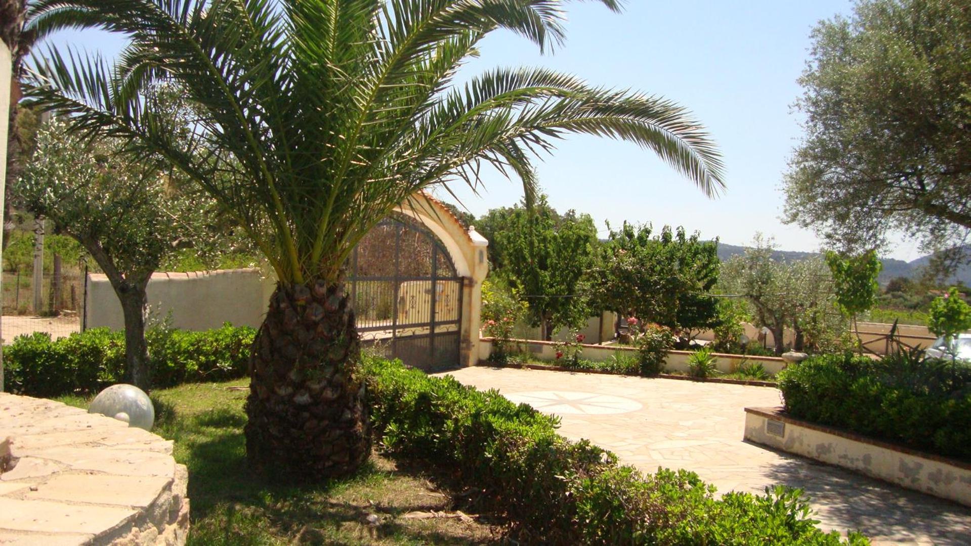 Photo 46
