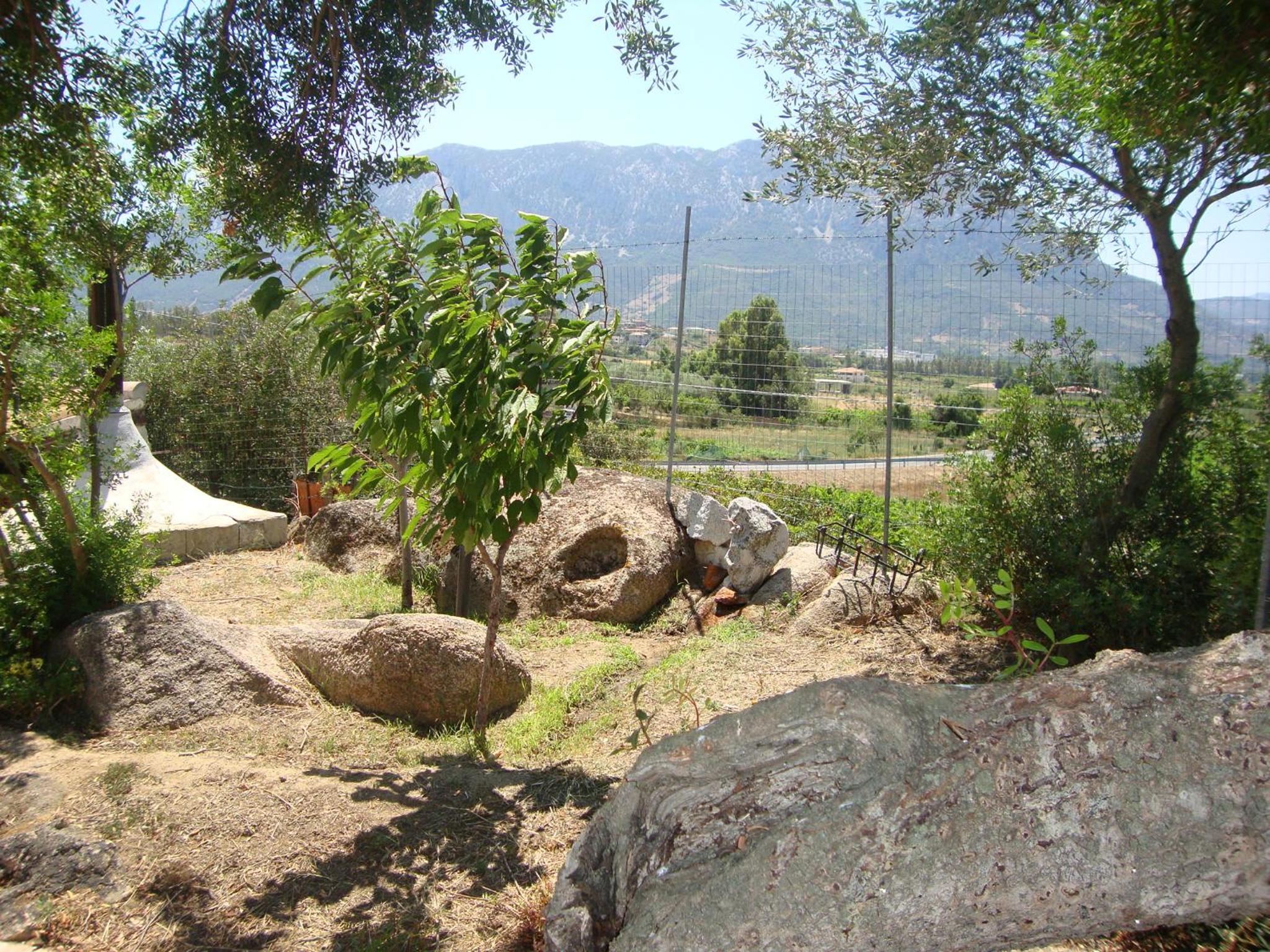 Photo 45
