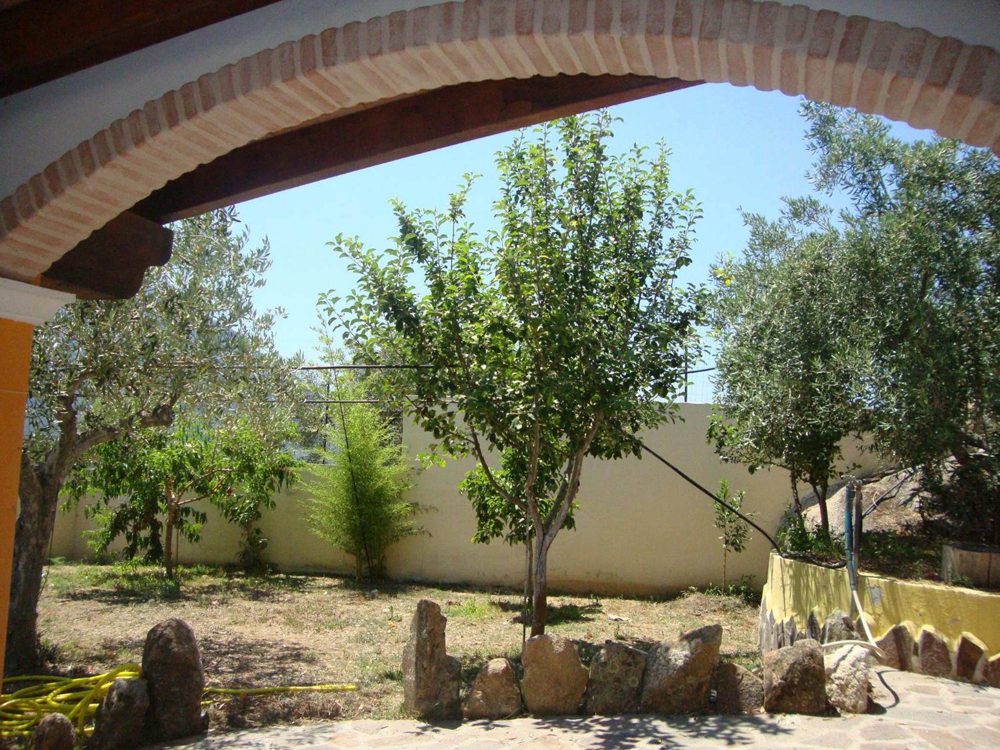 Photo 44