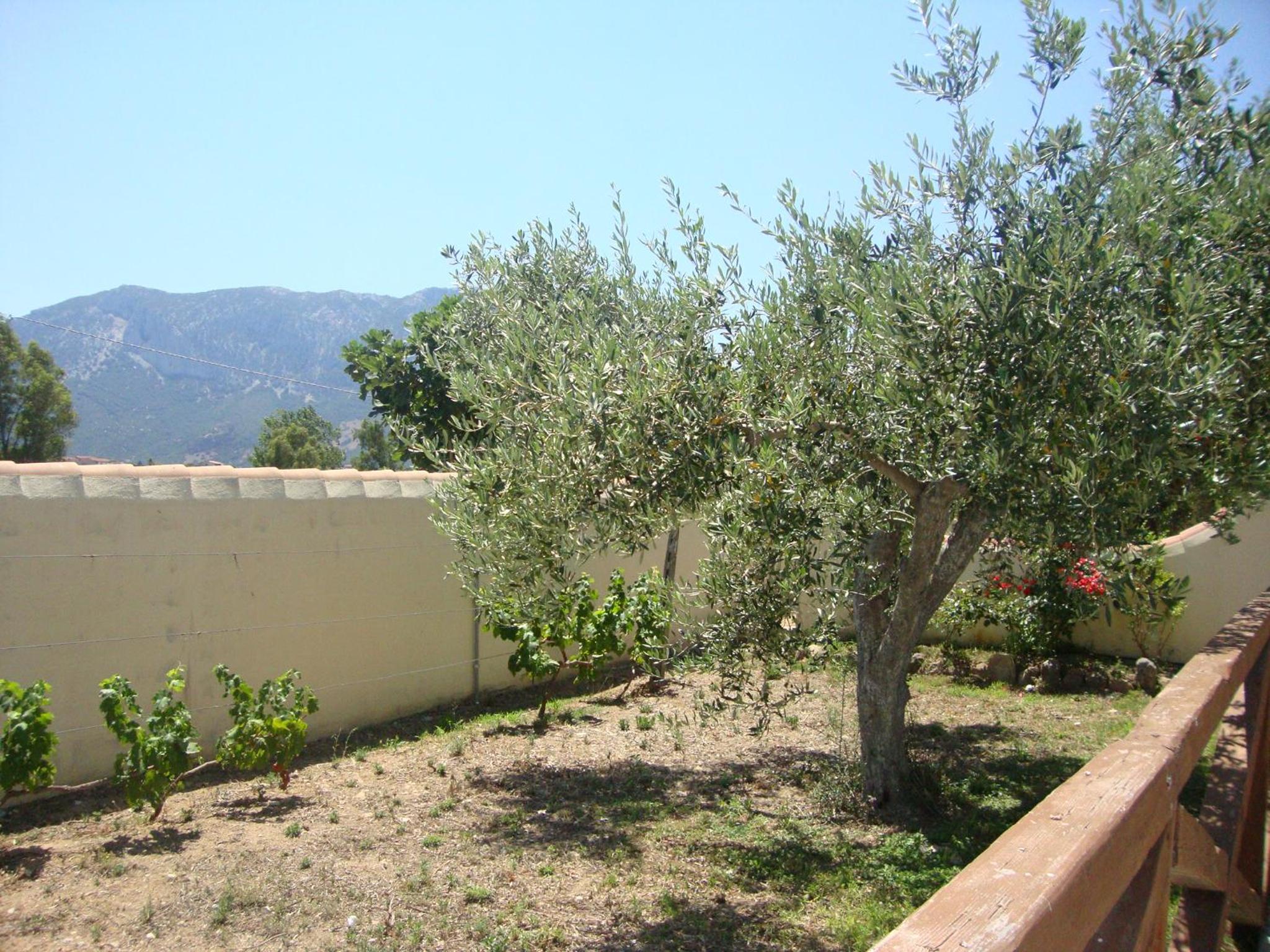 Photo 43