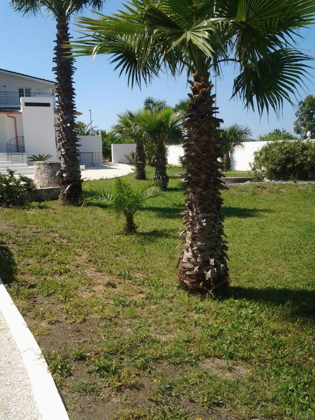 Photo 29