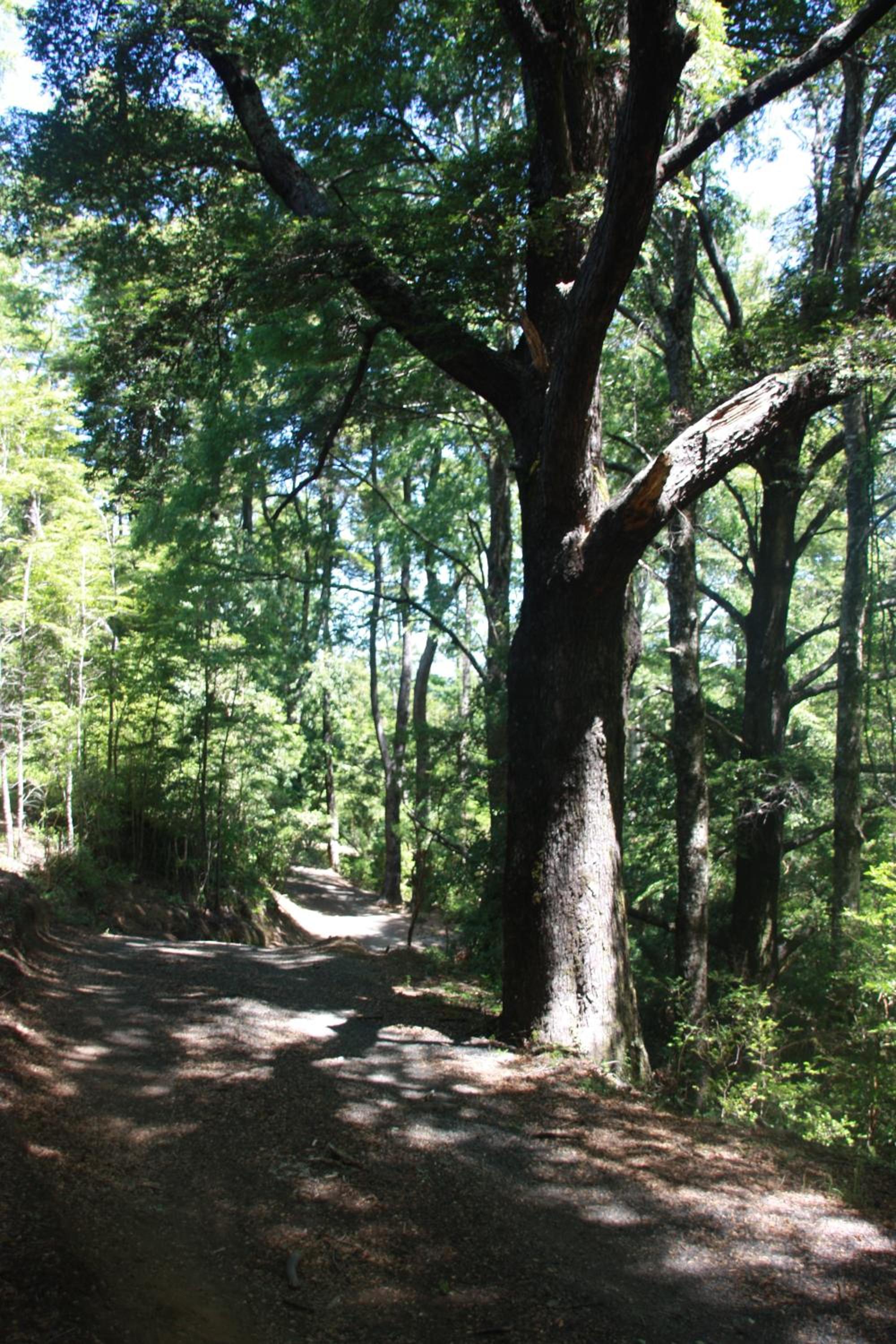 Photo 120