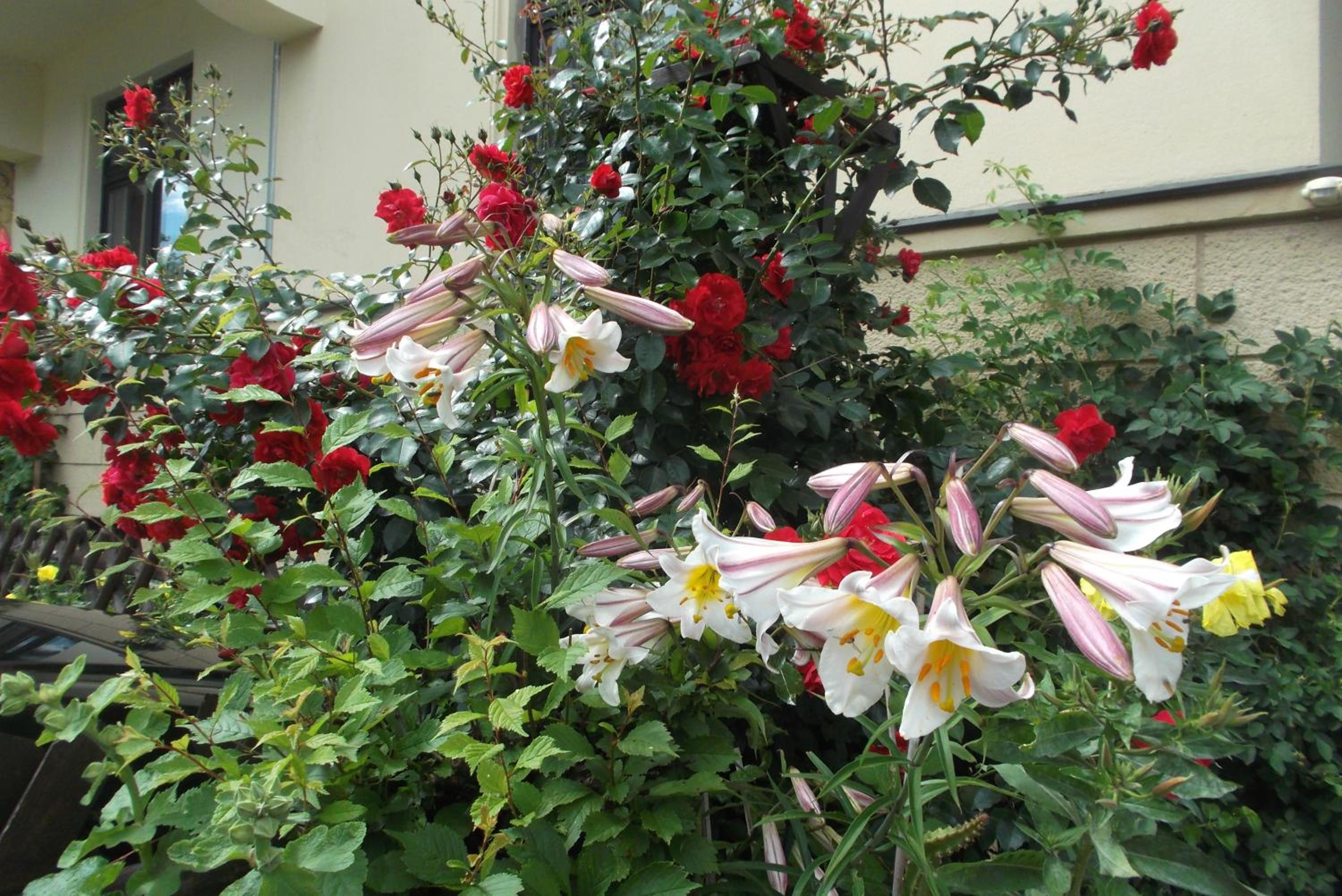 Photo 16