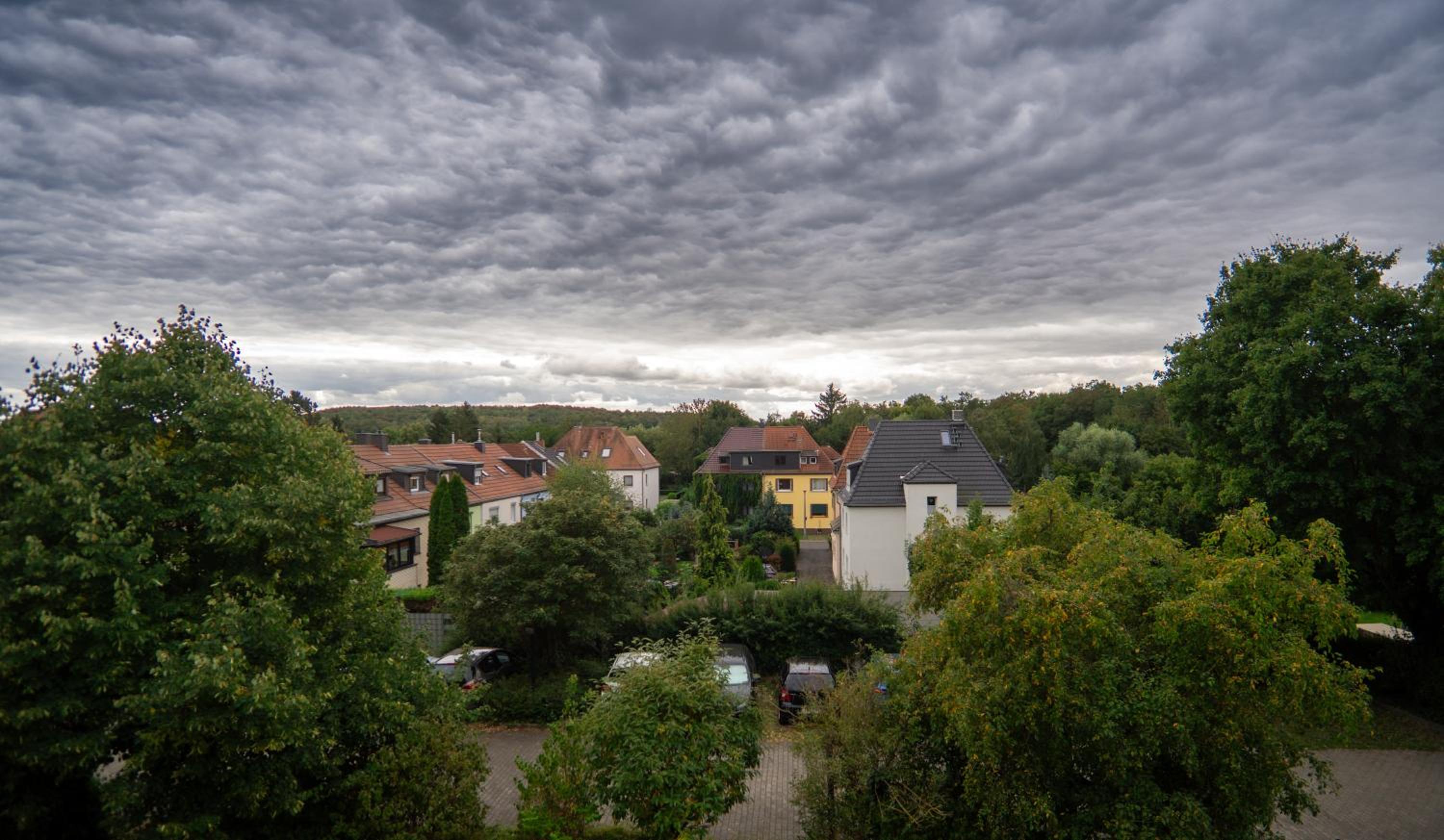 Auenblick -Natur genießen, Leipzig erleben