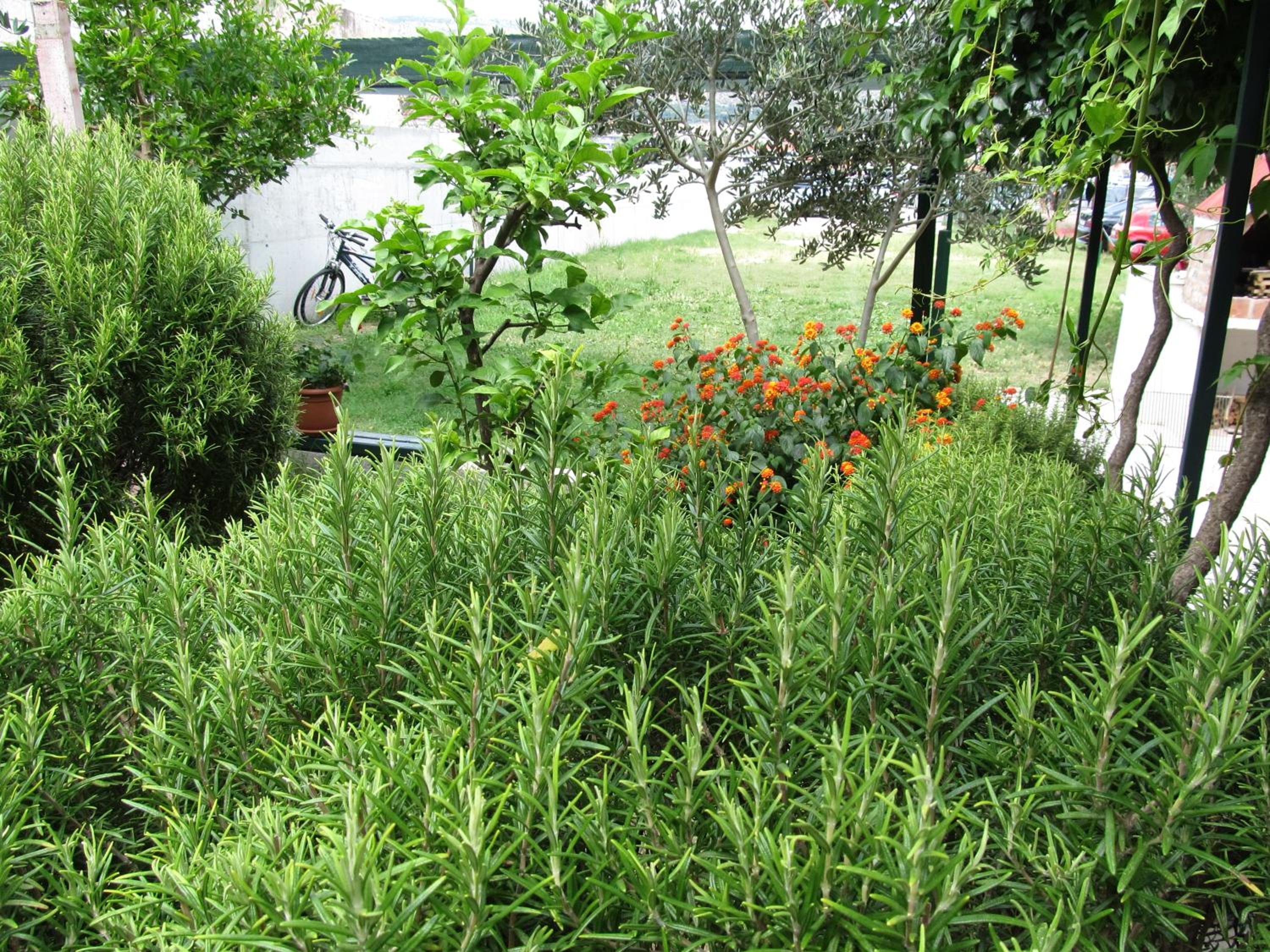 Photo 47