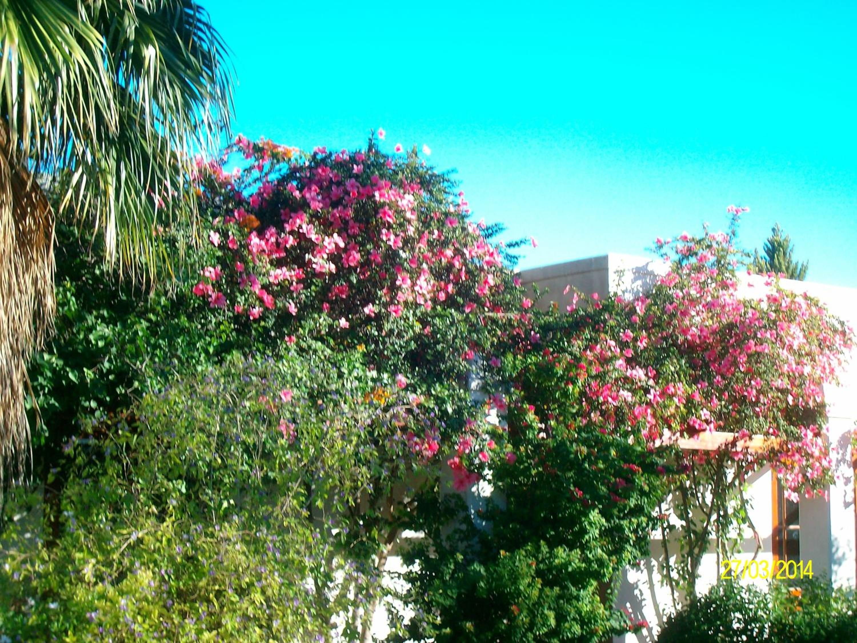 Villa Reinet Guest House